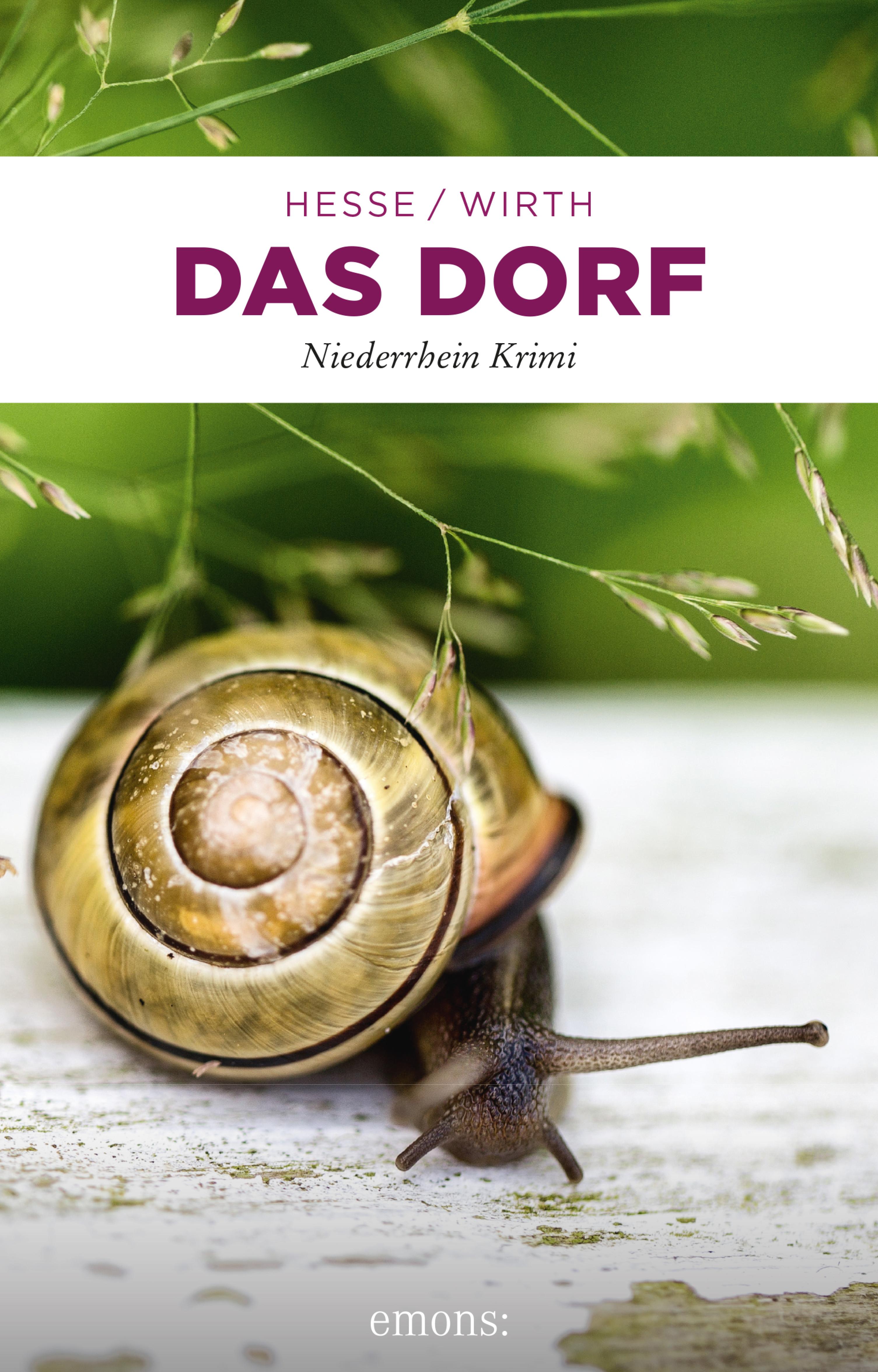Обложка книги «Das Dorf»