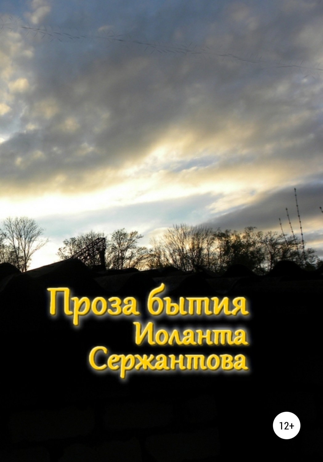Обложка книги «Проза бытия»