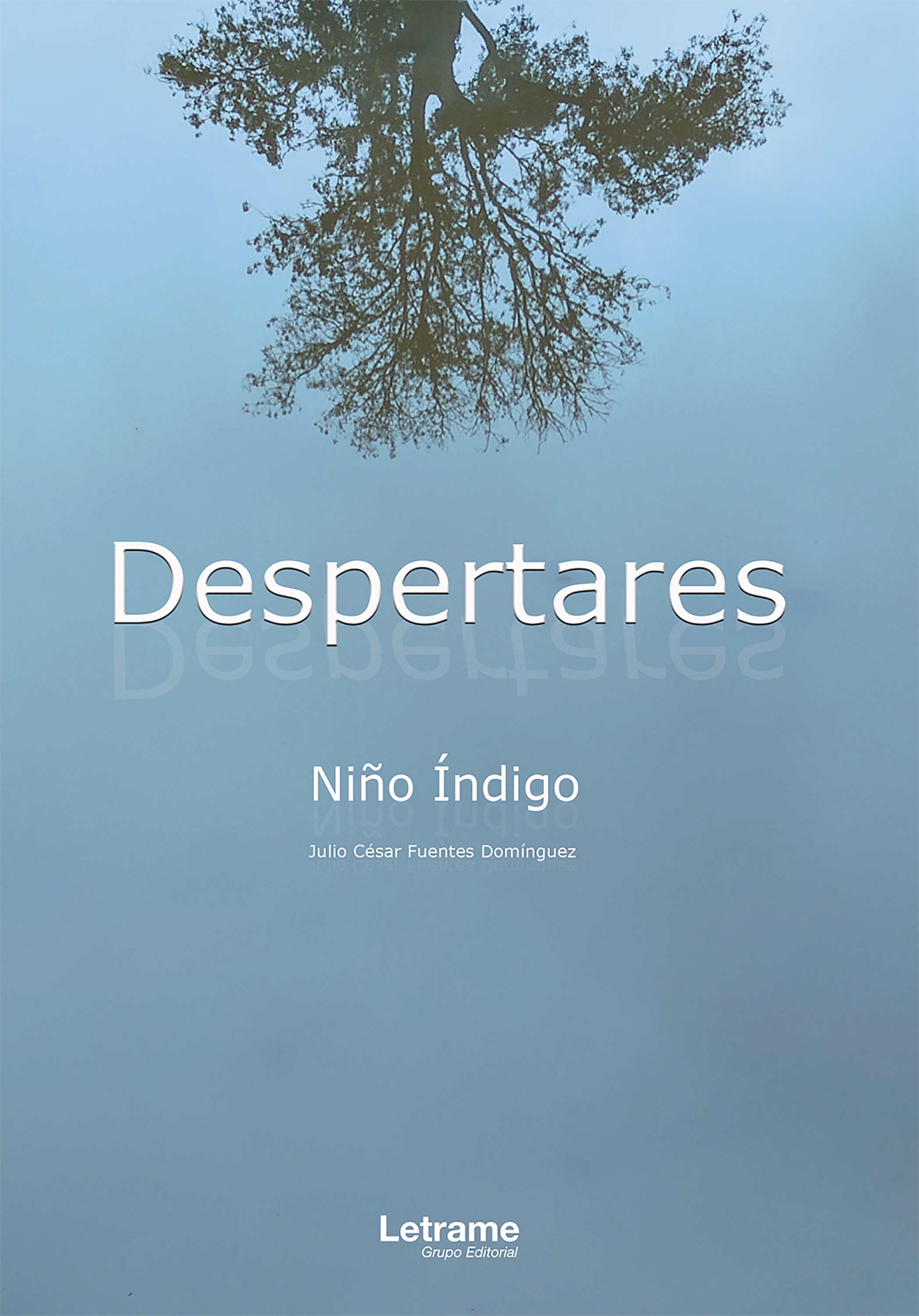 Обложка книги «Despertares»