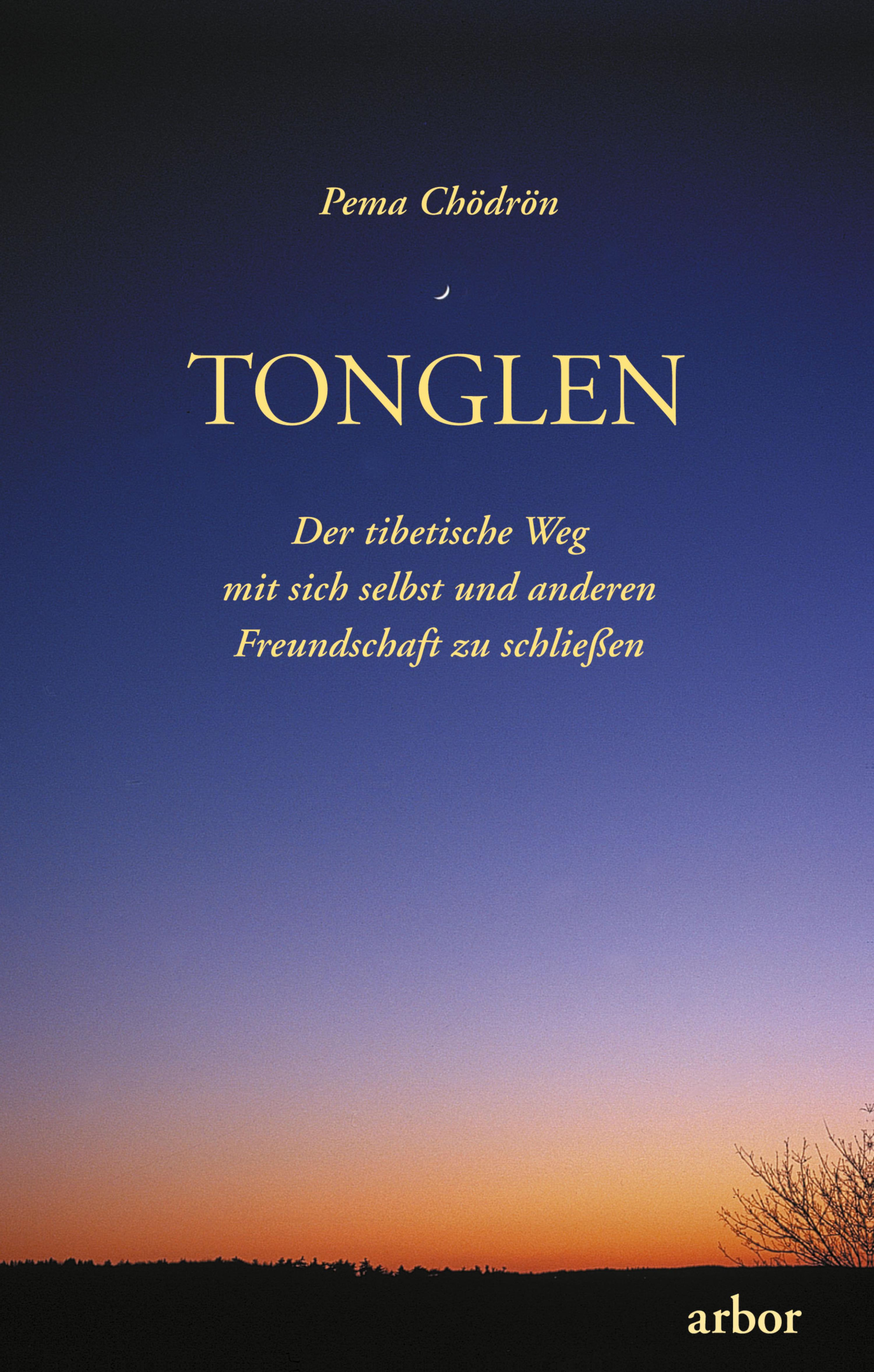 Обложка книги «Tonglen»