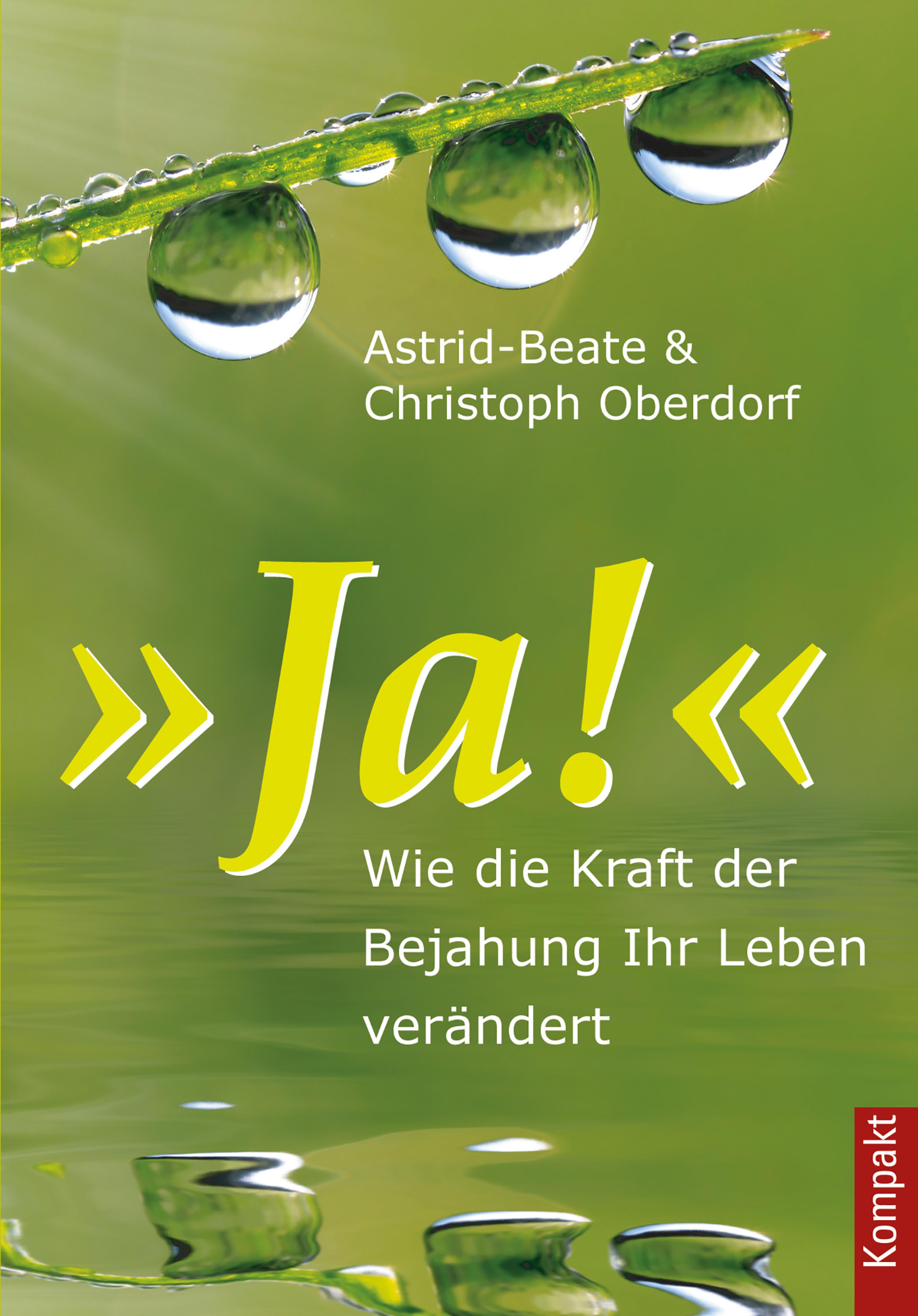 Обложка книги «Ja!»