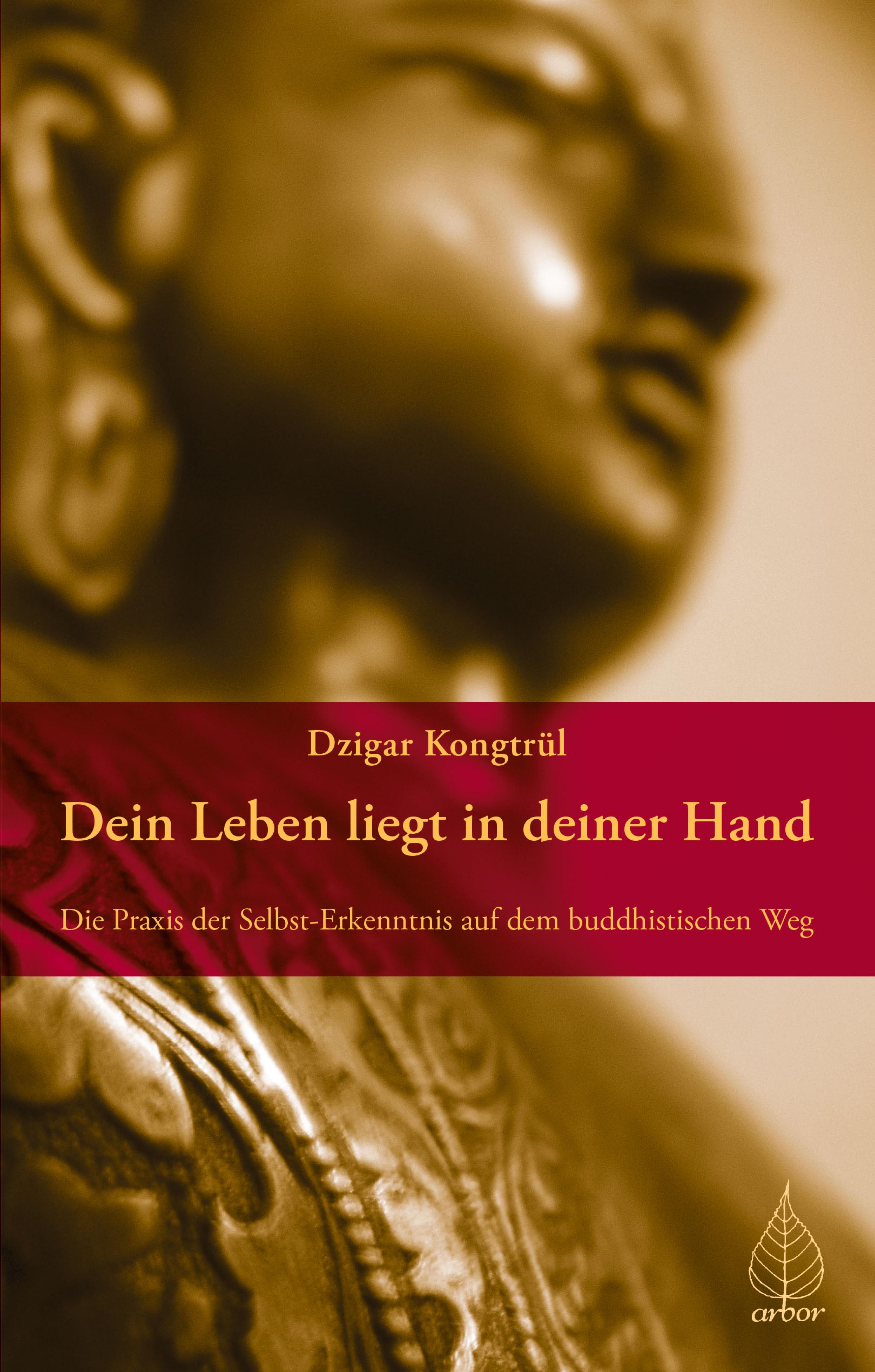 Обложка книги «Dein Leben liegt in deiner Hand»