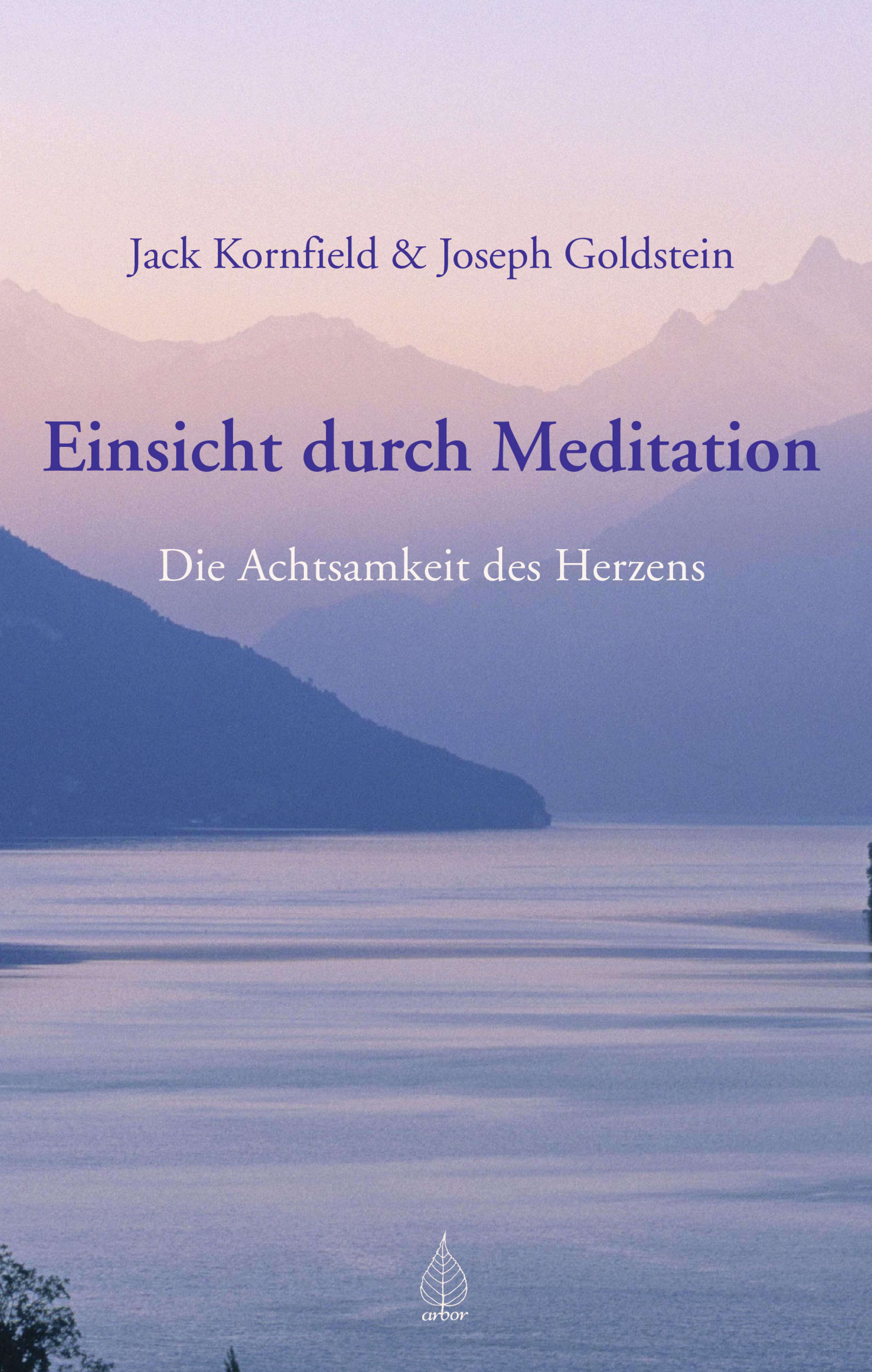 Обложка книги «Einsicht durch Meditation»