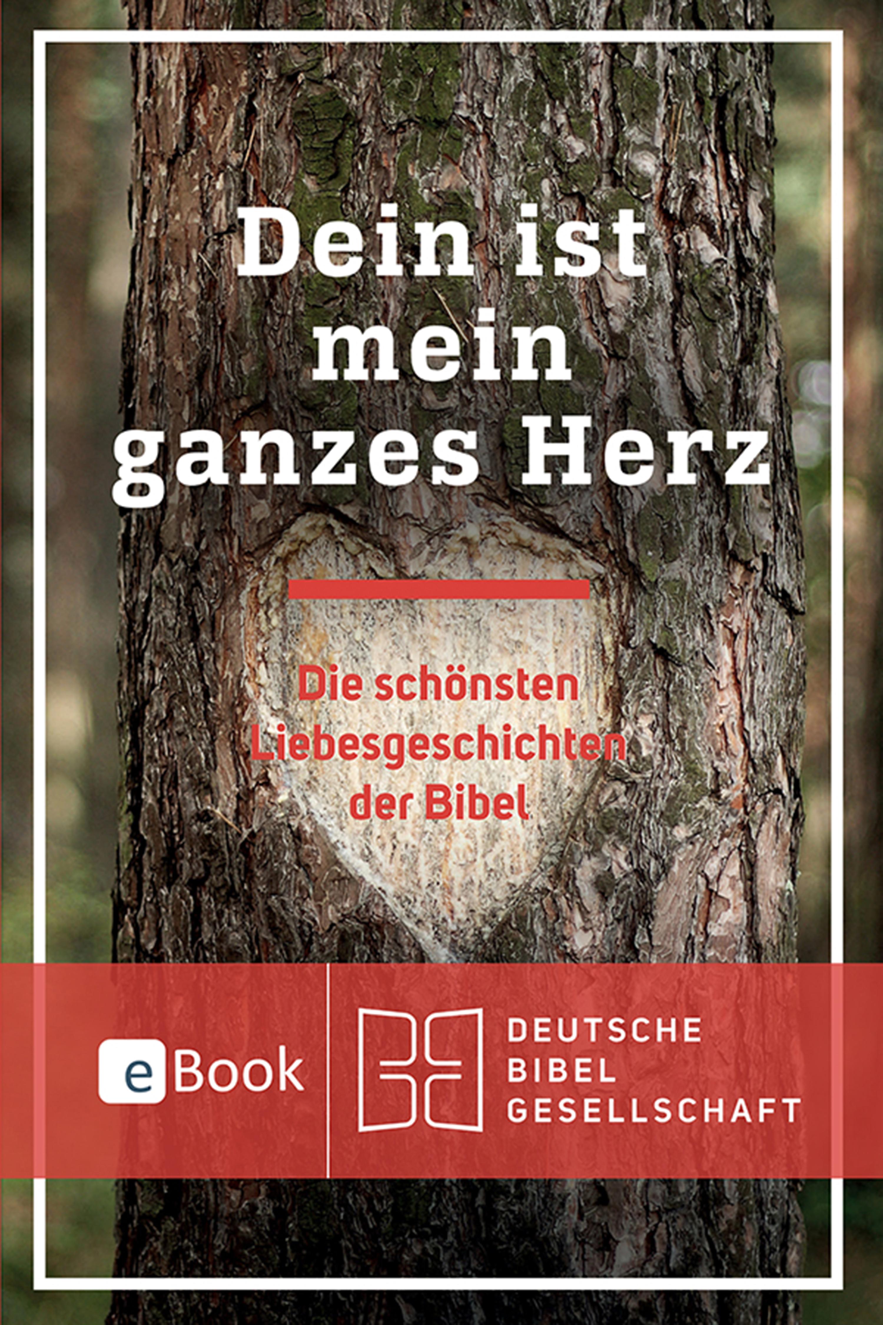 Обложка книги «Dein ist mein ganzes Herz»