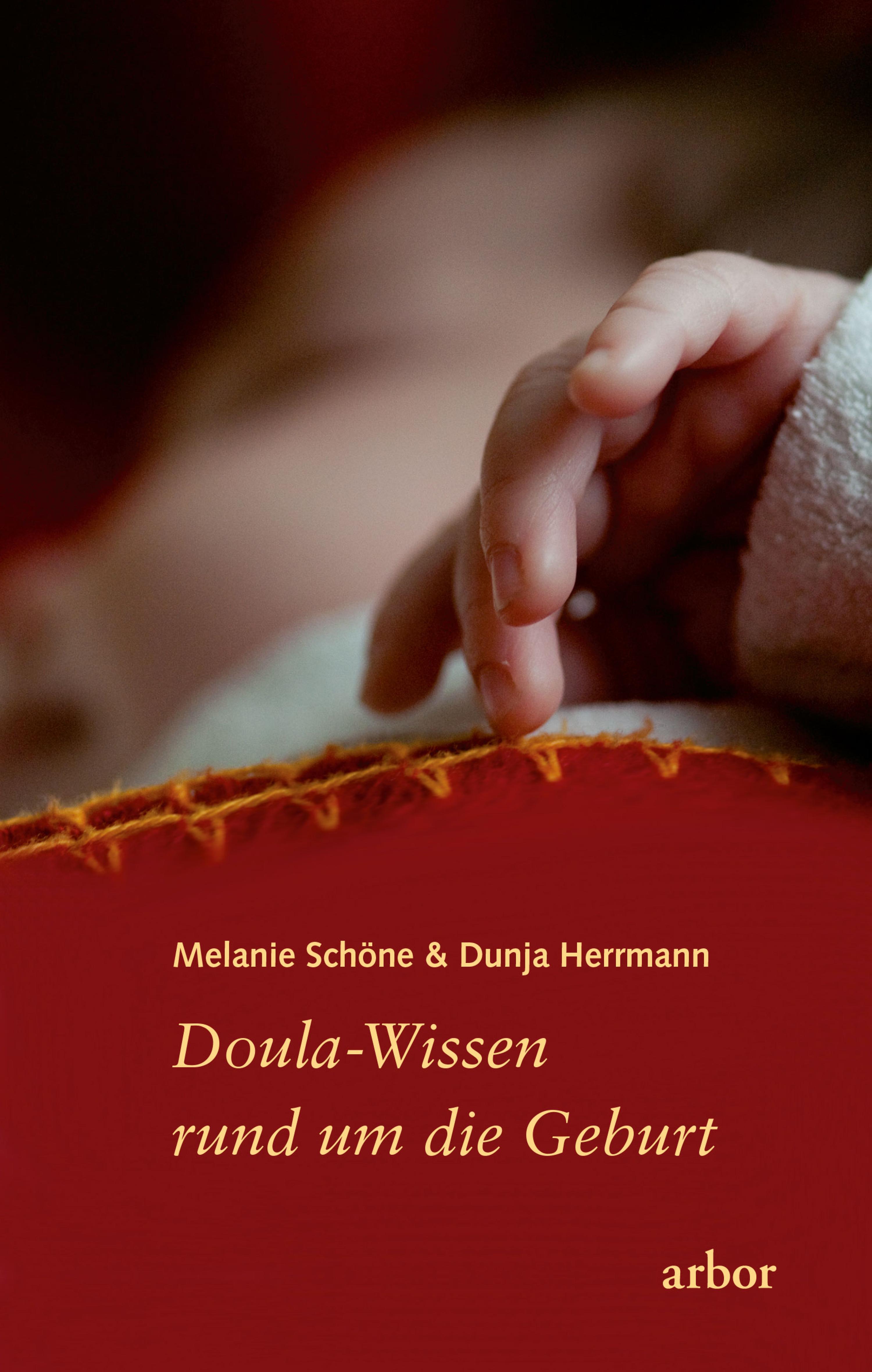 Обложка книги «Doula-Wissen rund um die Geburt»