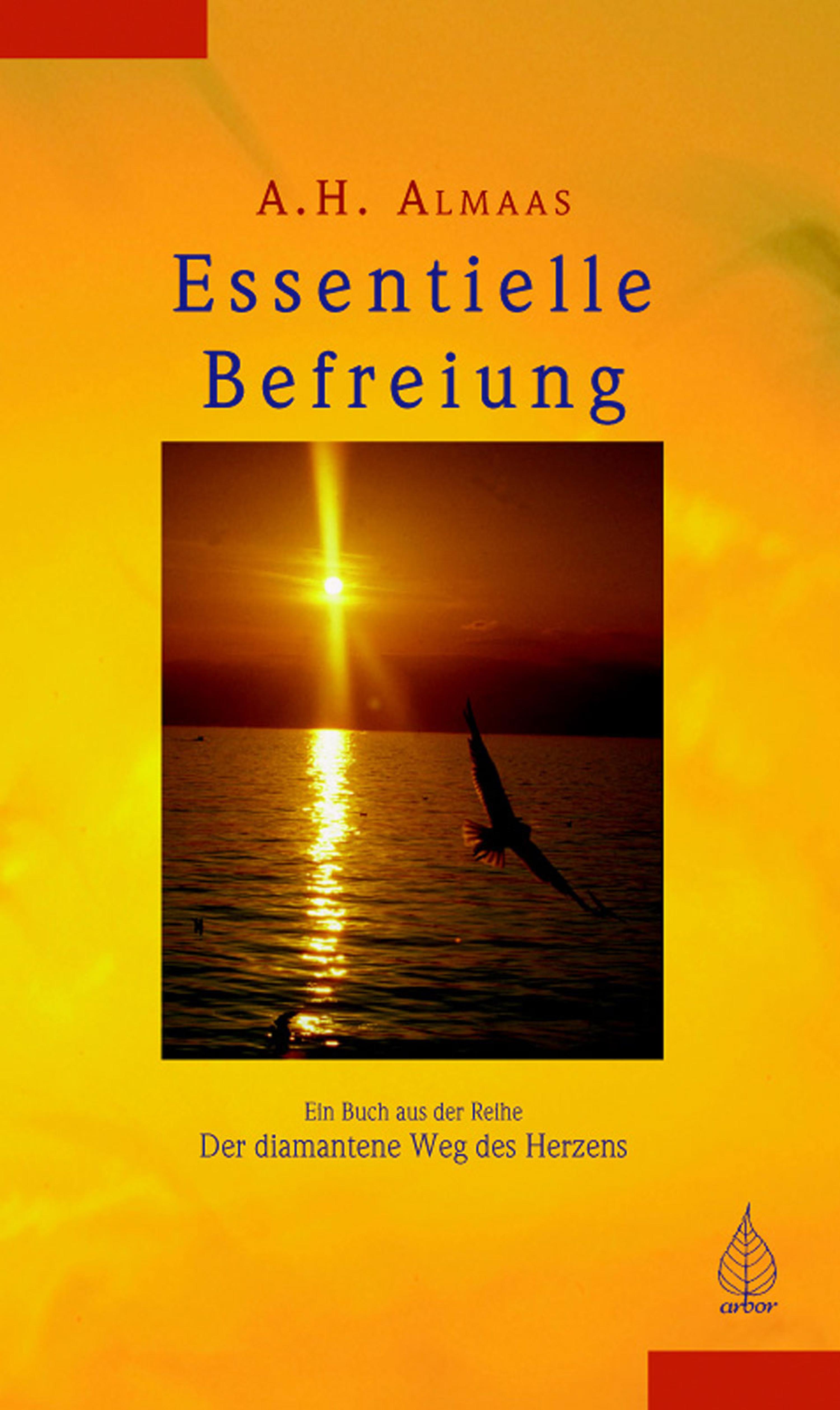 Обложка книги «Essentielle Befreiung»