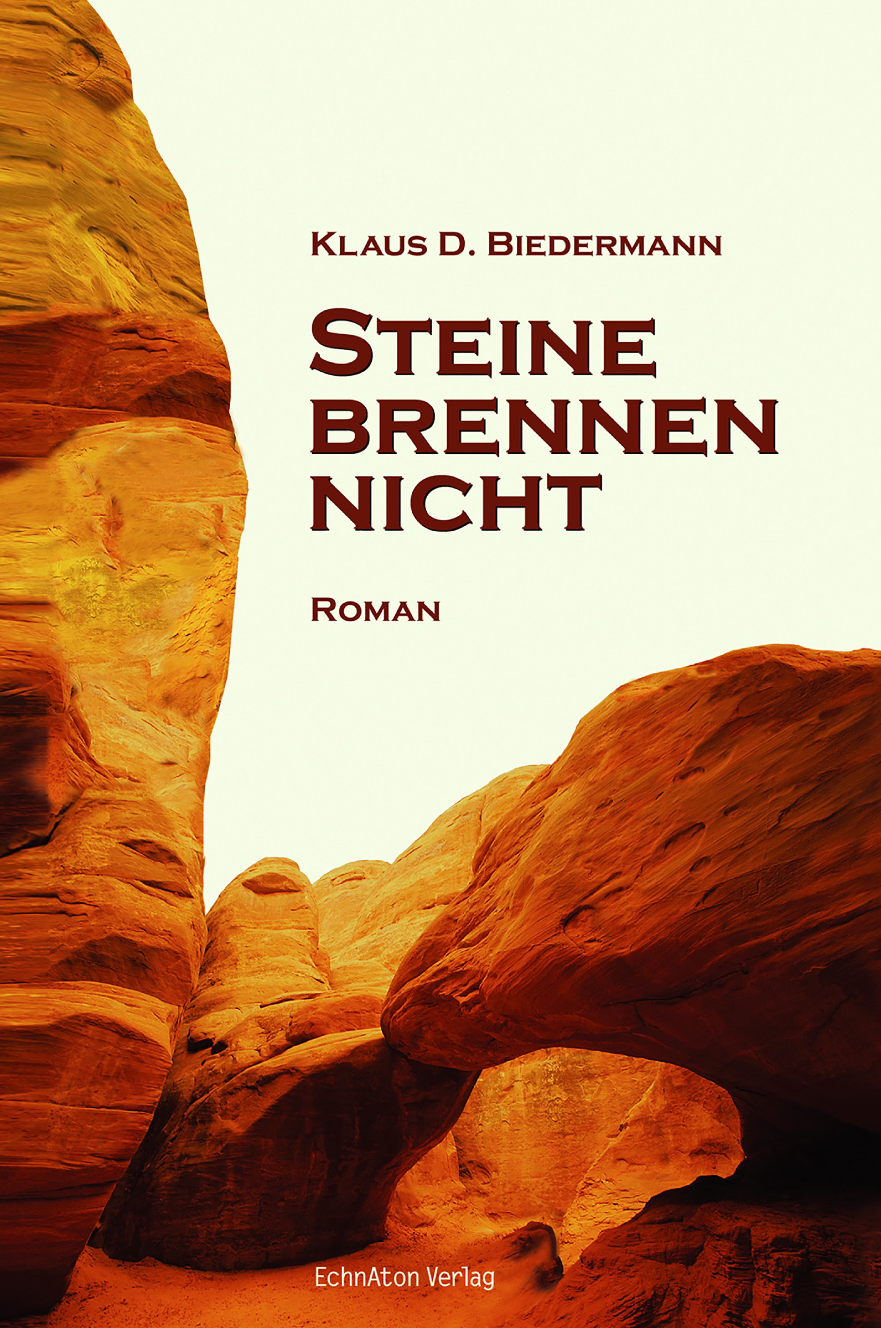 Обложка книги «Steine brennen nicht»