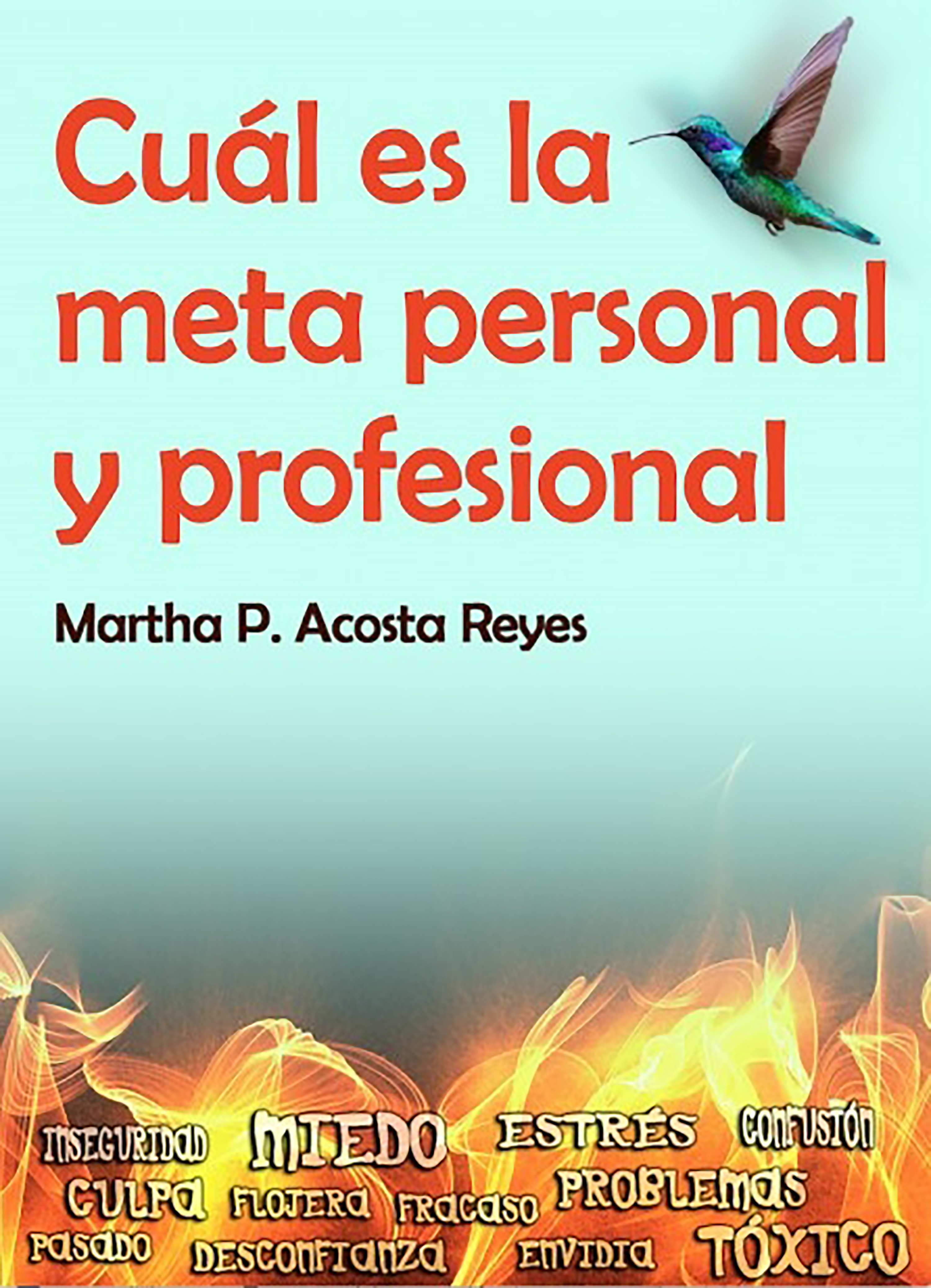 Обложка книги «Cuál es la meta personal y profesional»