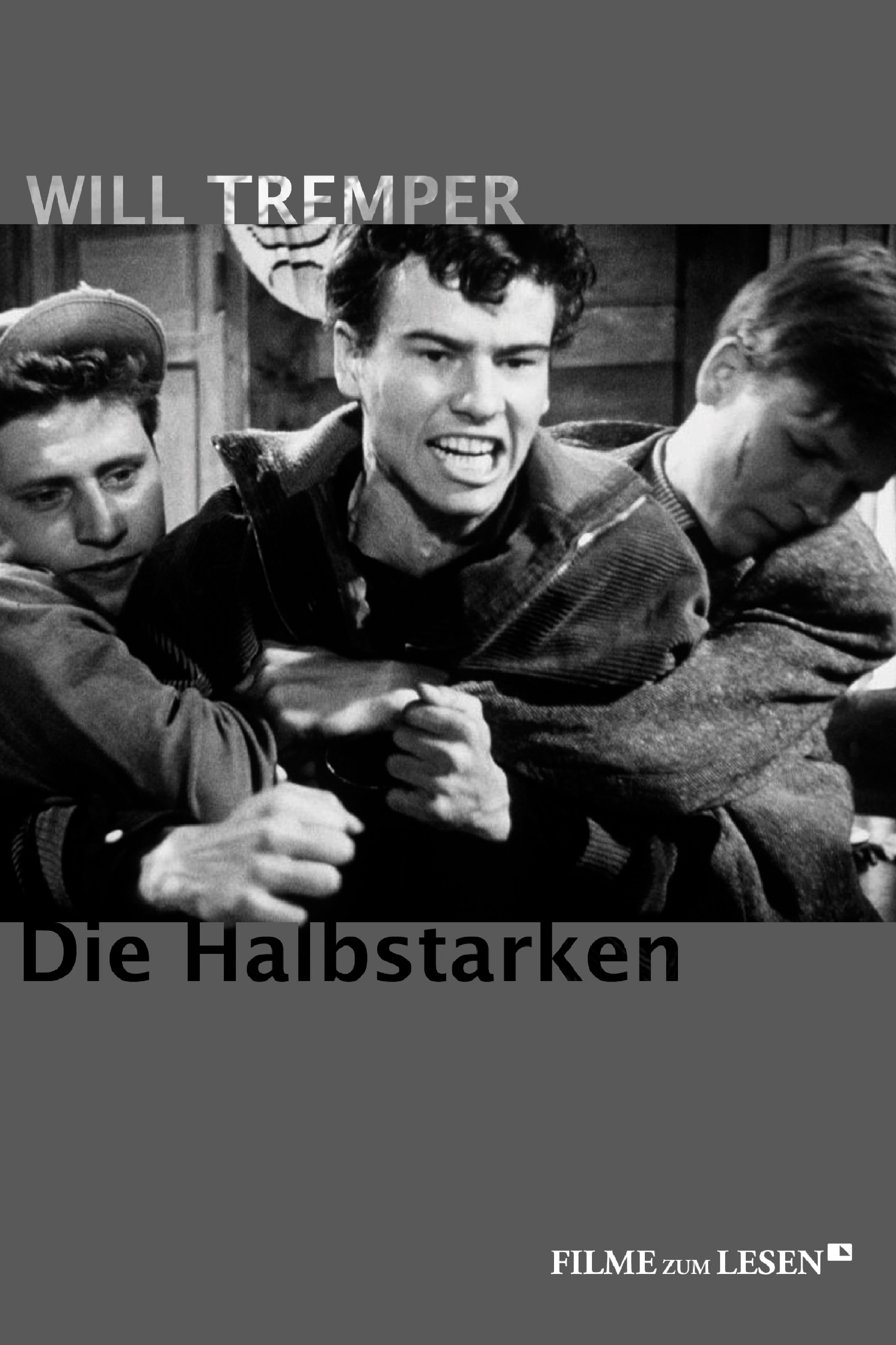 Обложка книги «Die Halbstarken»