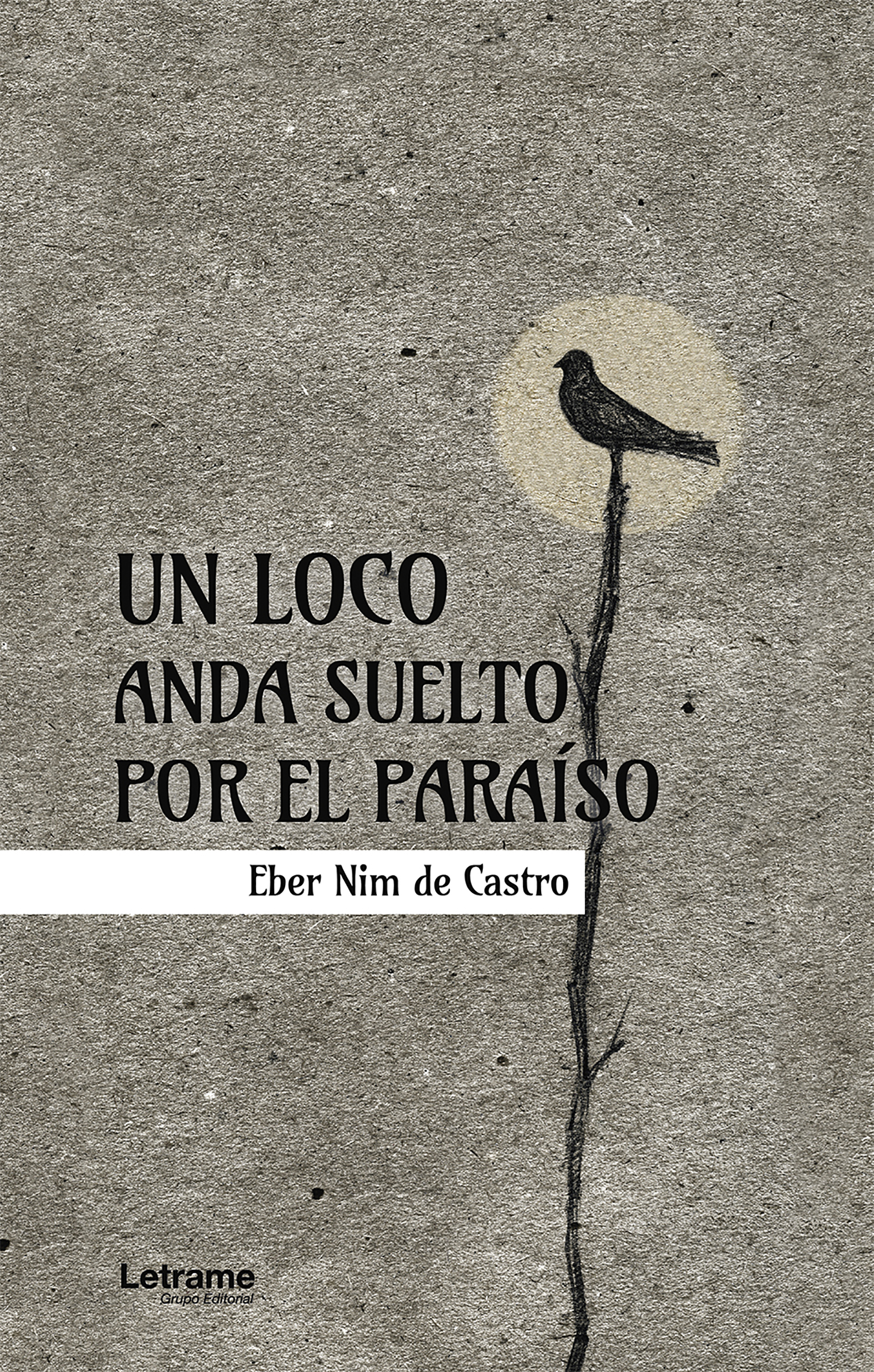 Обложка книги «Un loco anda suelto por el paraíso»