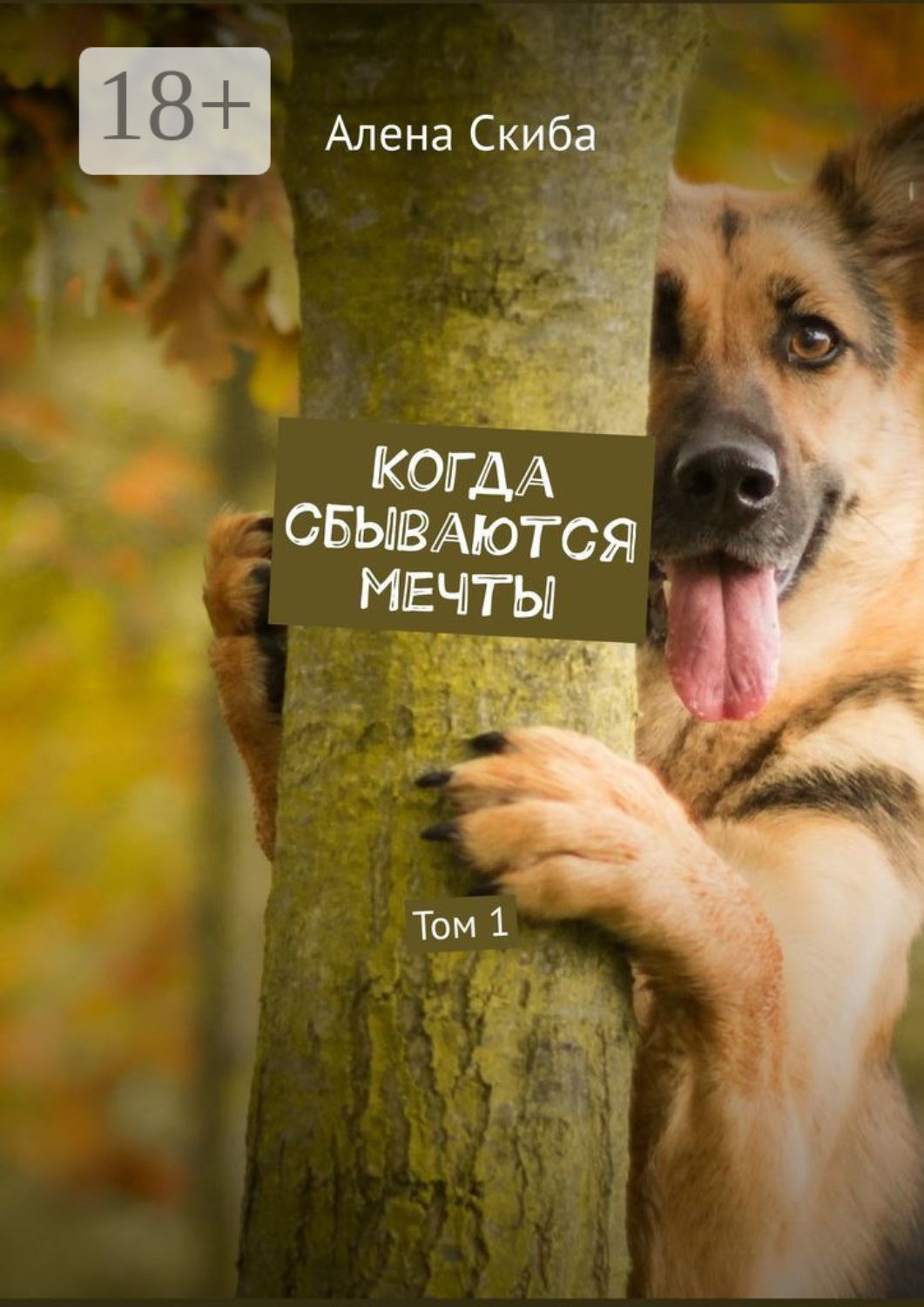 Обложка книги «Когда сбываются мечты. Том 1»