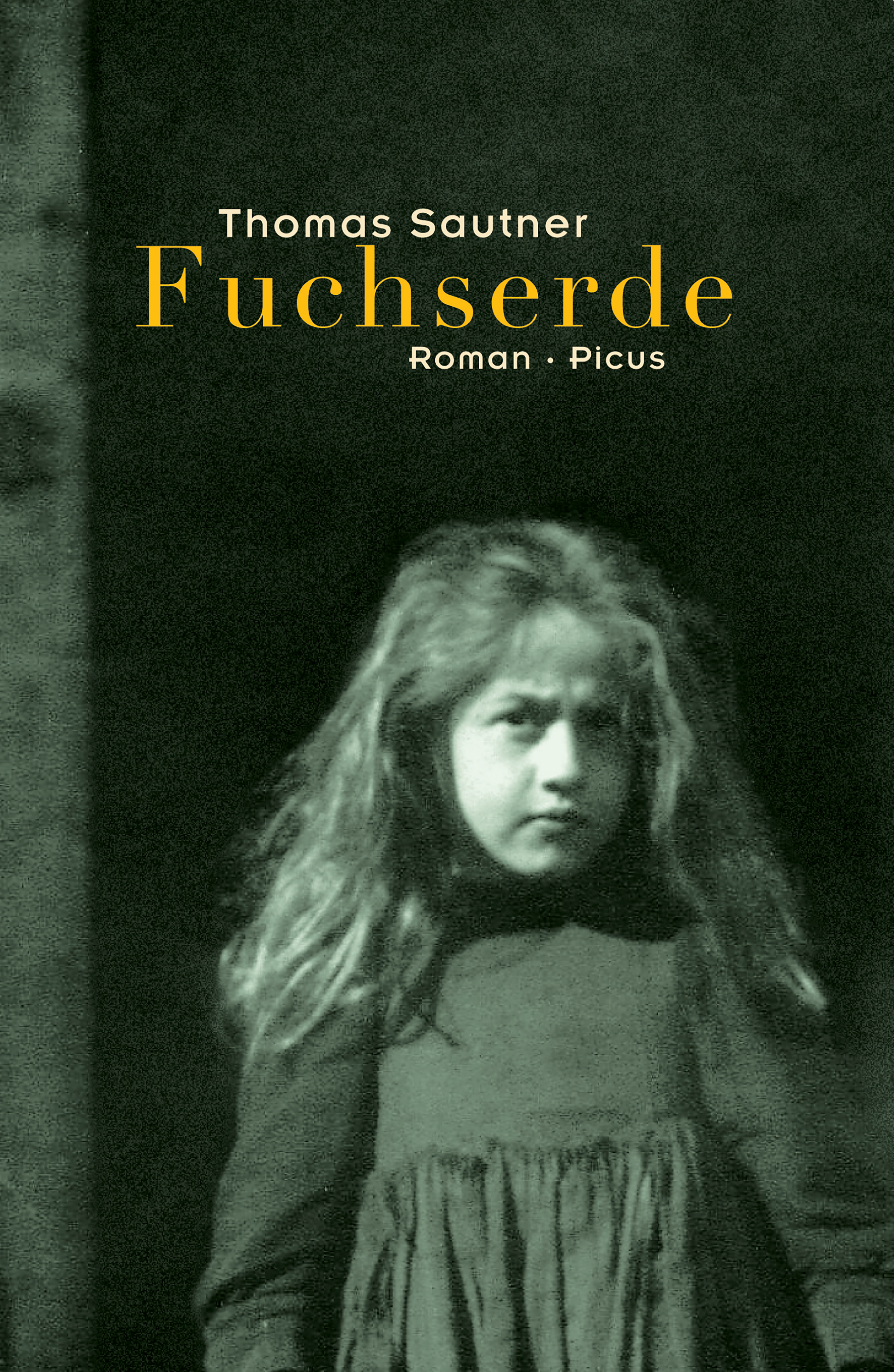Обложка книги «Fuchserde»