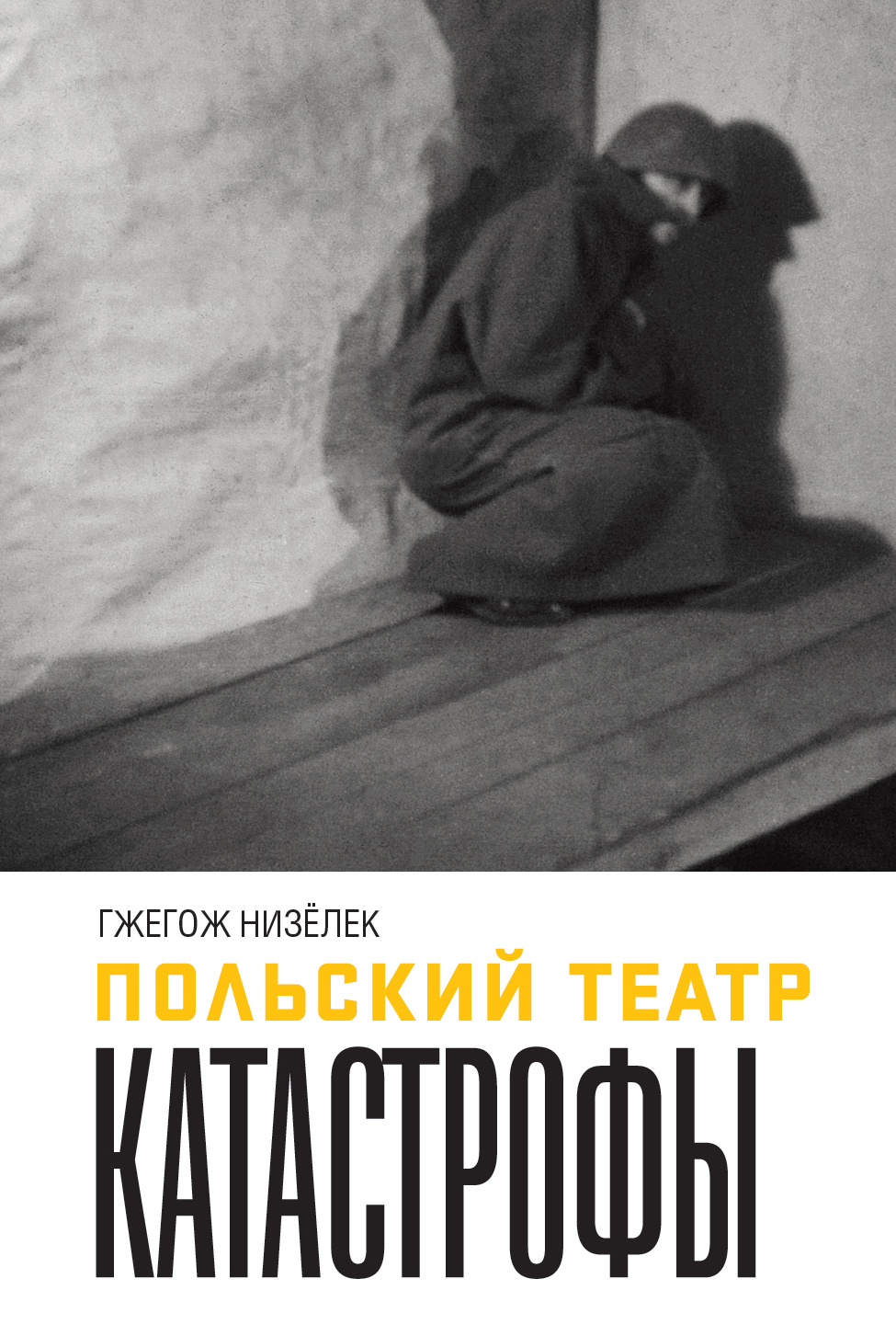 Обложка книги «Польский театр Катастрофы»