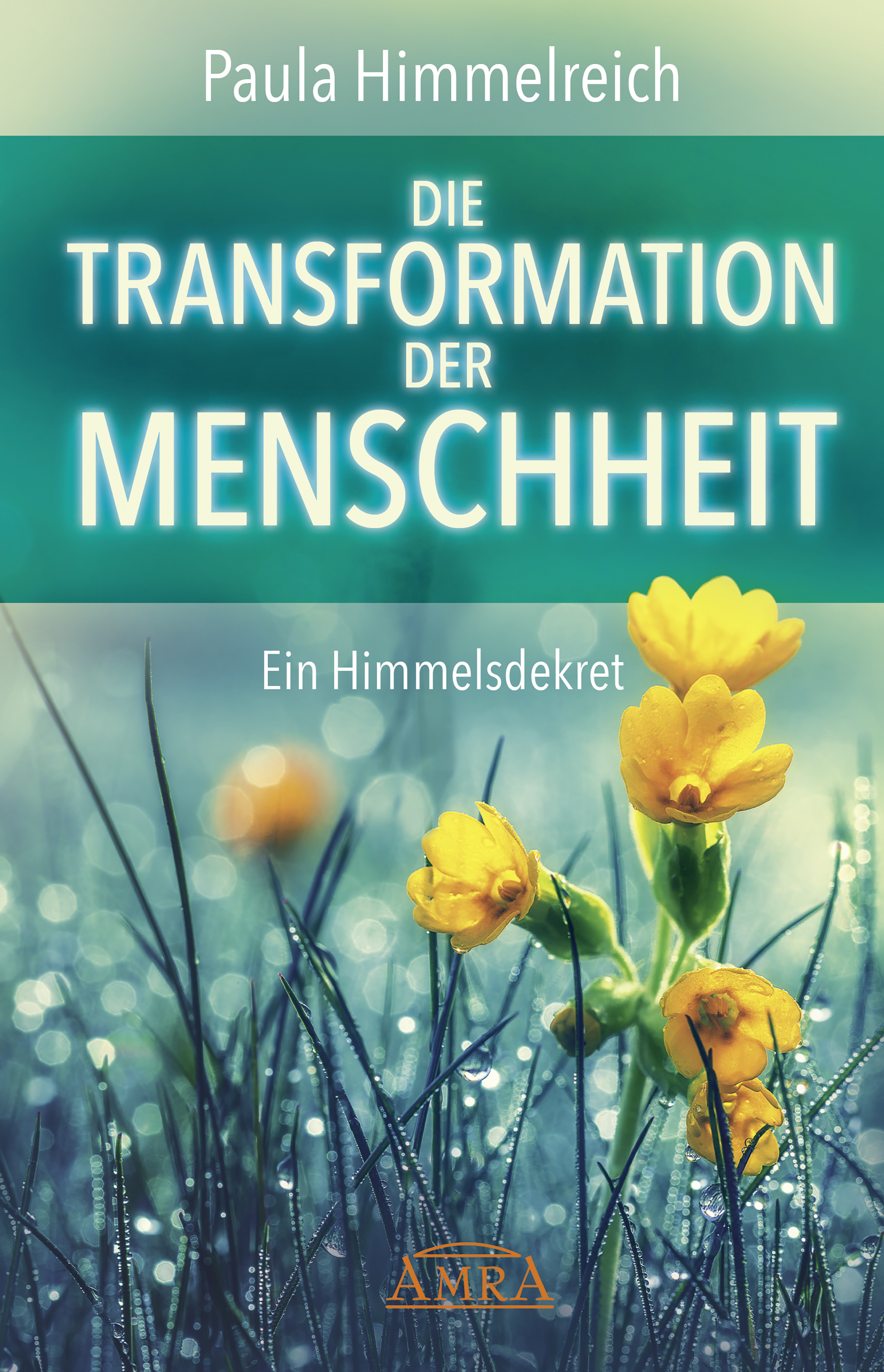 Обложка книги «DIE TRANSFORMATION DER MENSCHHEIT»