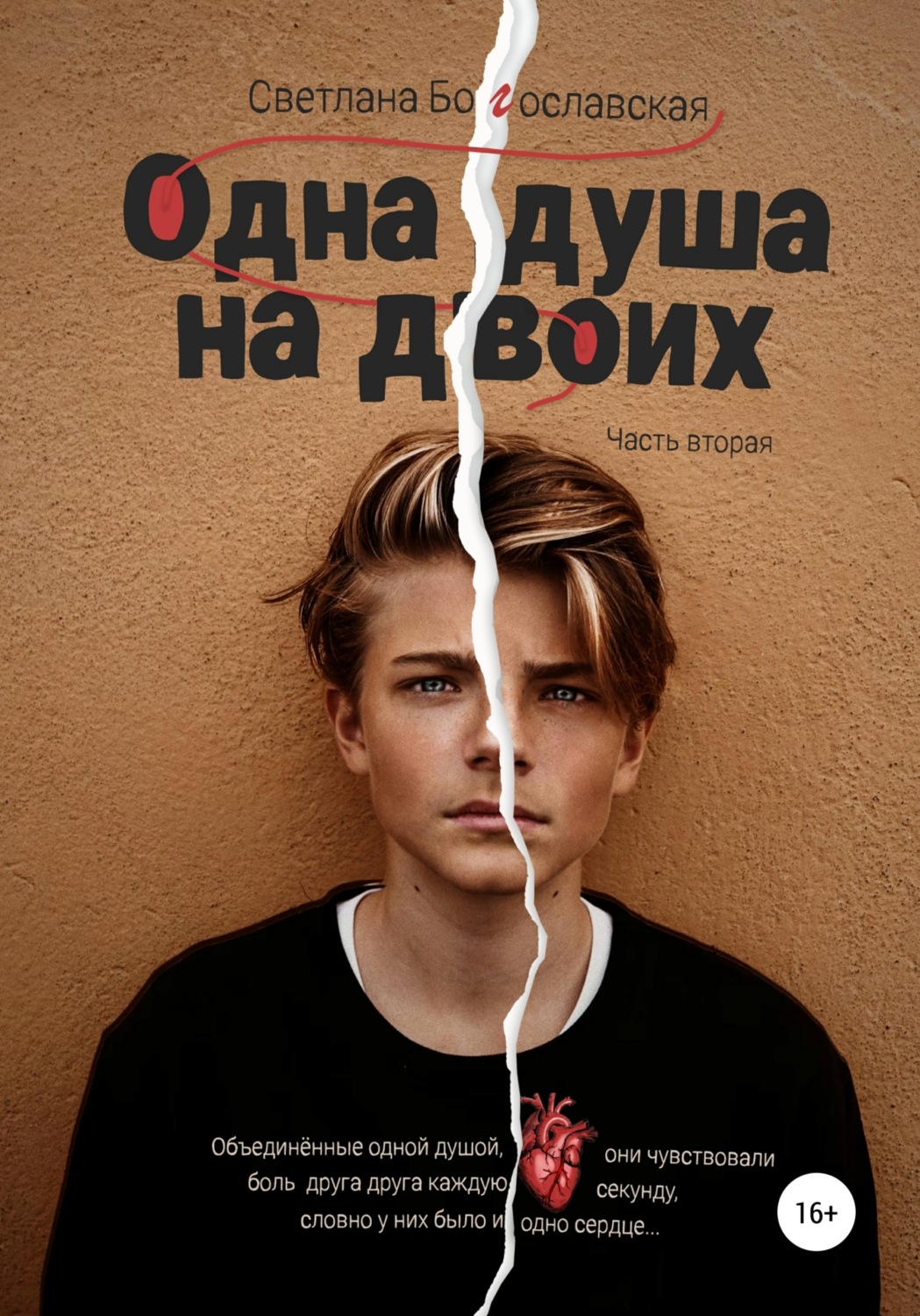 Обложка книги «Одна душа на двоих. Часть 2»