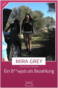 Обложка книги «Ein B**wjob als Bezahlung»