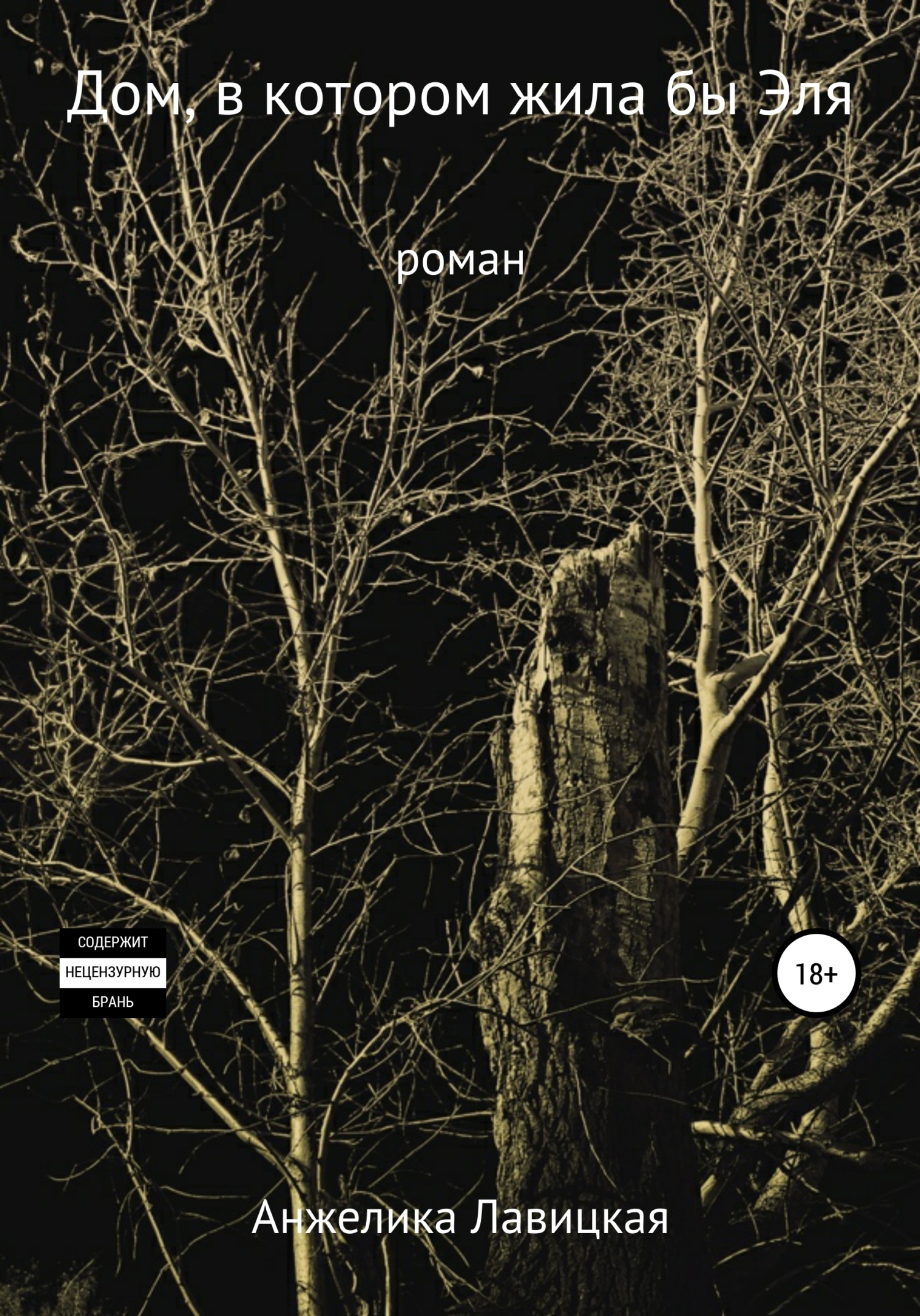 Обложка книги «Дом, в котором жила бы Эля»