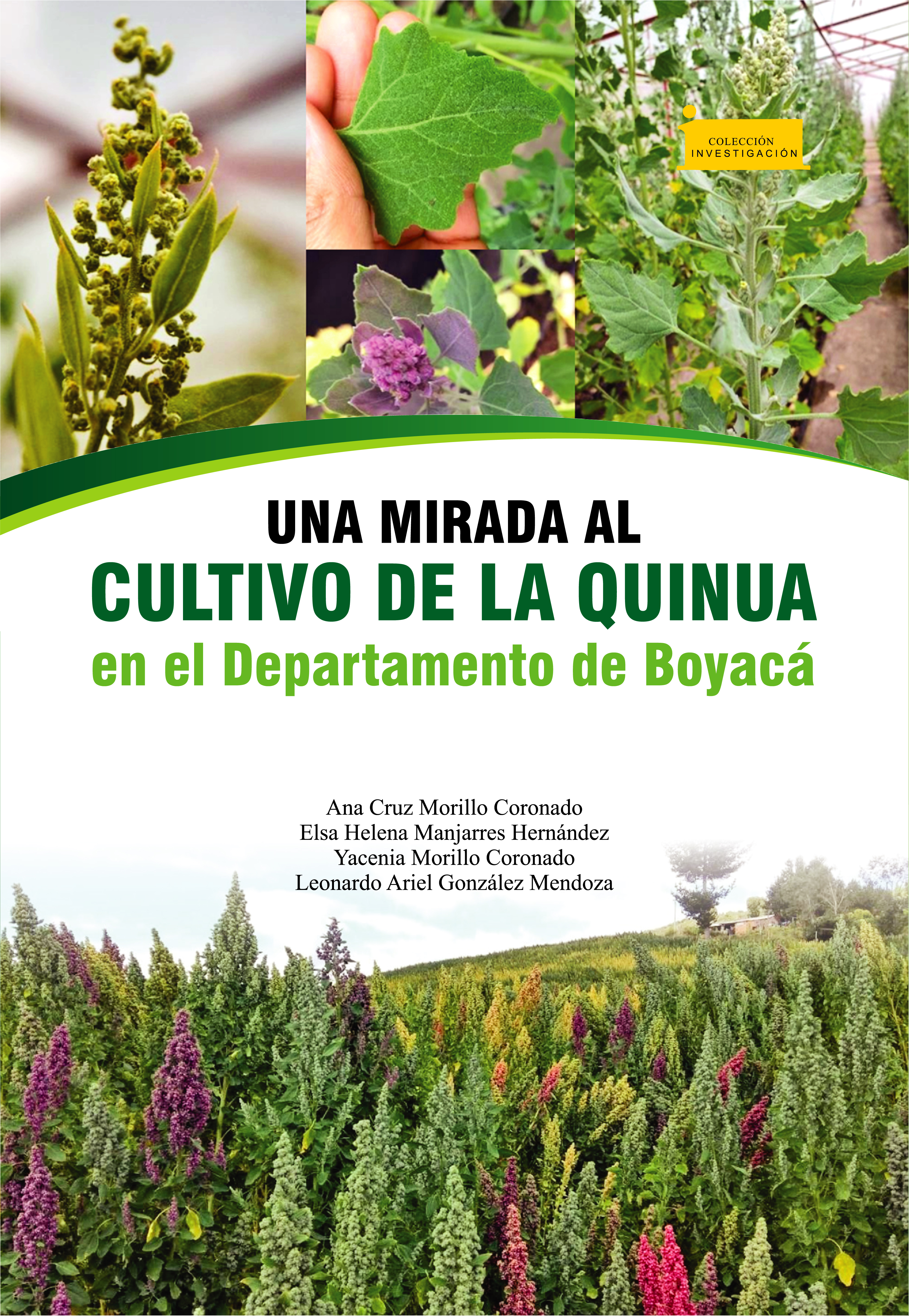 Обложка книги «Una mirada al cultivo de la quinua en el departamento de Boyacá»