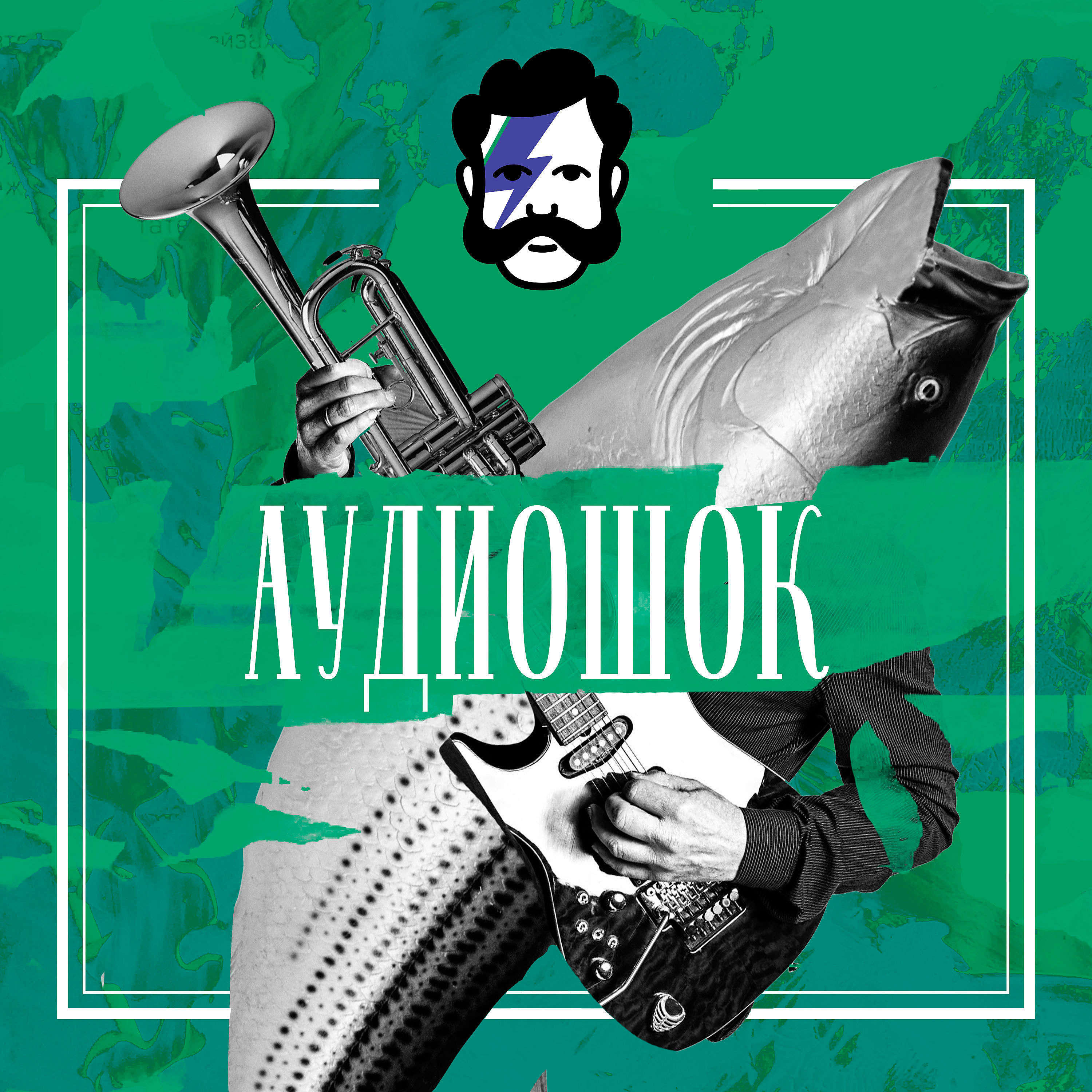 Обложка книги «Аудиошок»