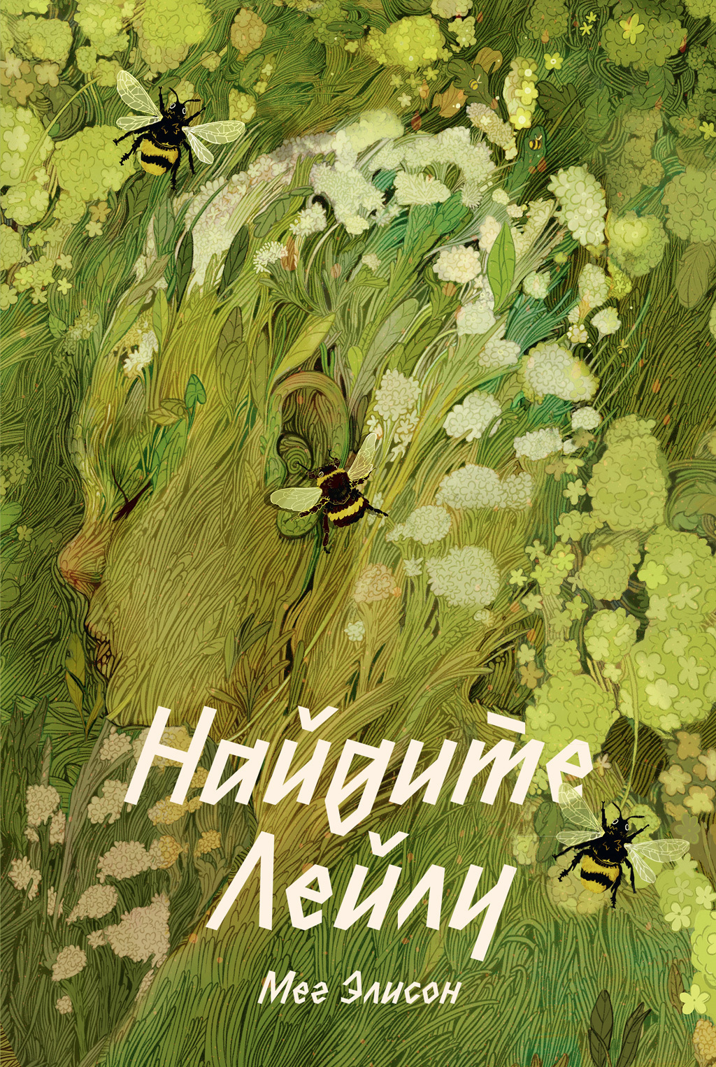 Обложка книги «Найдите Лейлу»
