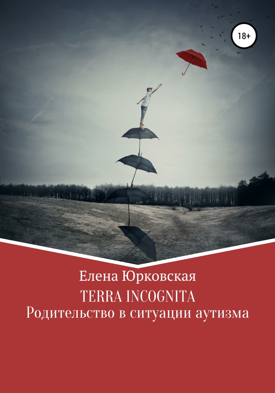 Обложка книги «Terra Incognita. Родительство в ситуации аутизма»