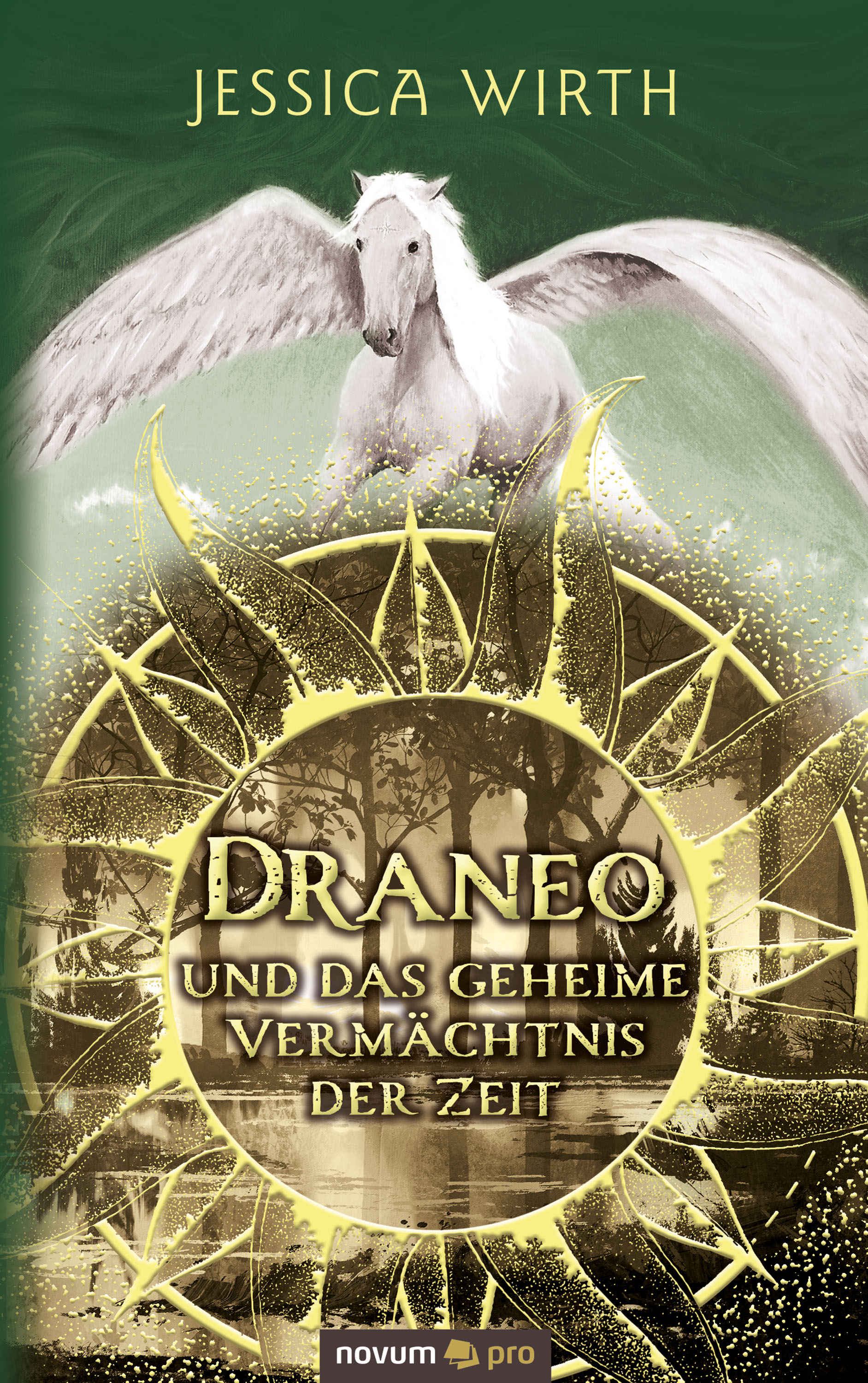Обложка книги «Draneo und das geheime Vermächtnis der Zeit»