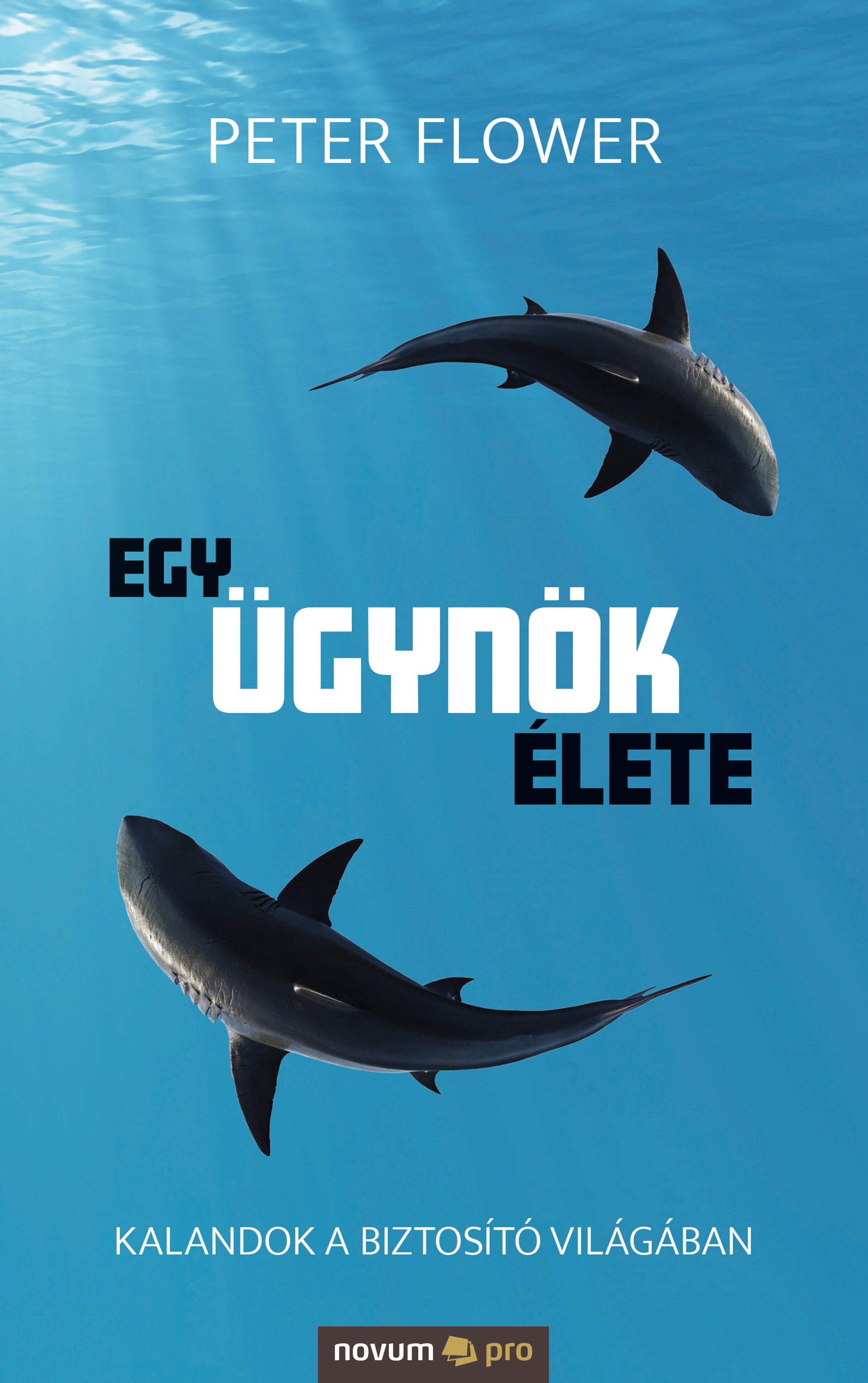 Обложка книги «Egy ügynök élete»