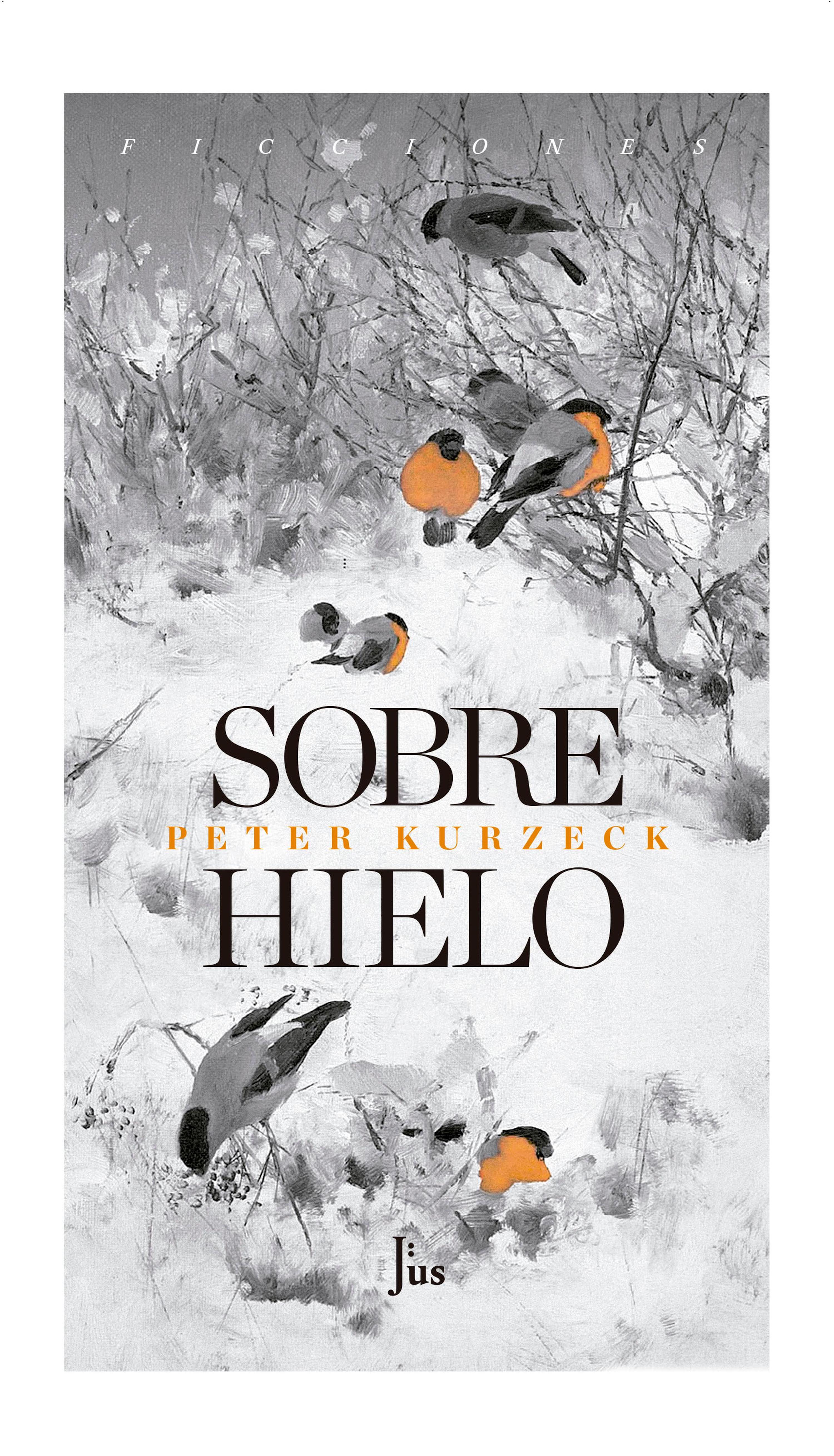 Обложка книги «Sobre hielo»
