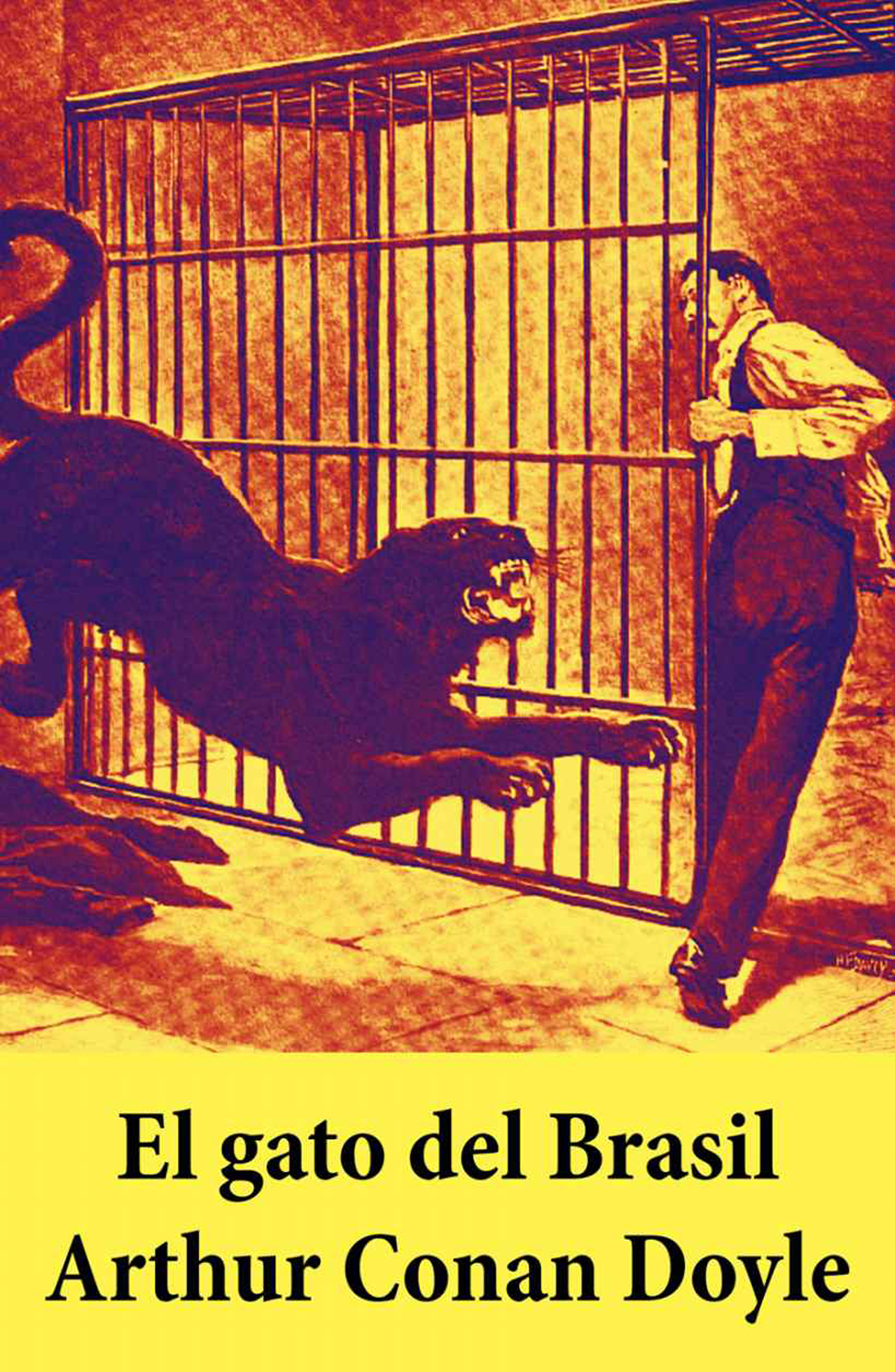 Обложка книги «El gato del Brasil»