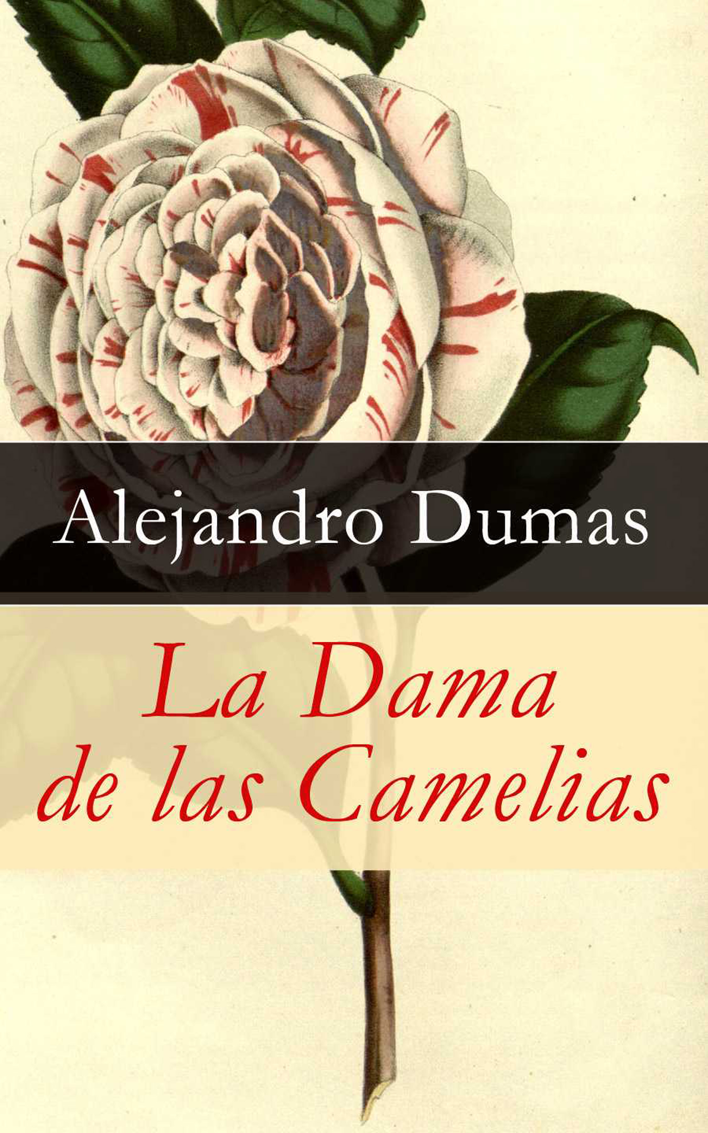 Обложка книги «La Dama de las Camelias»