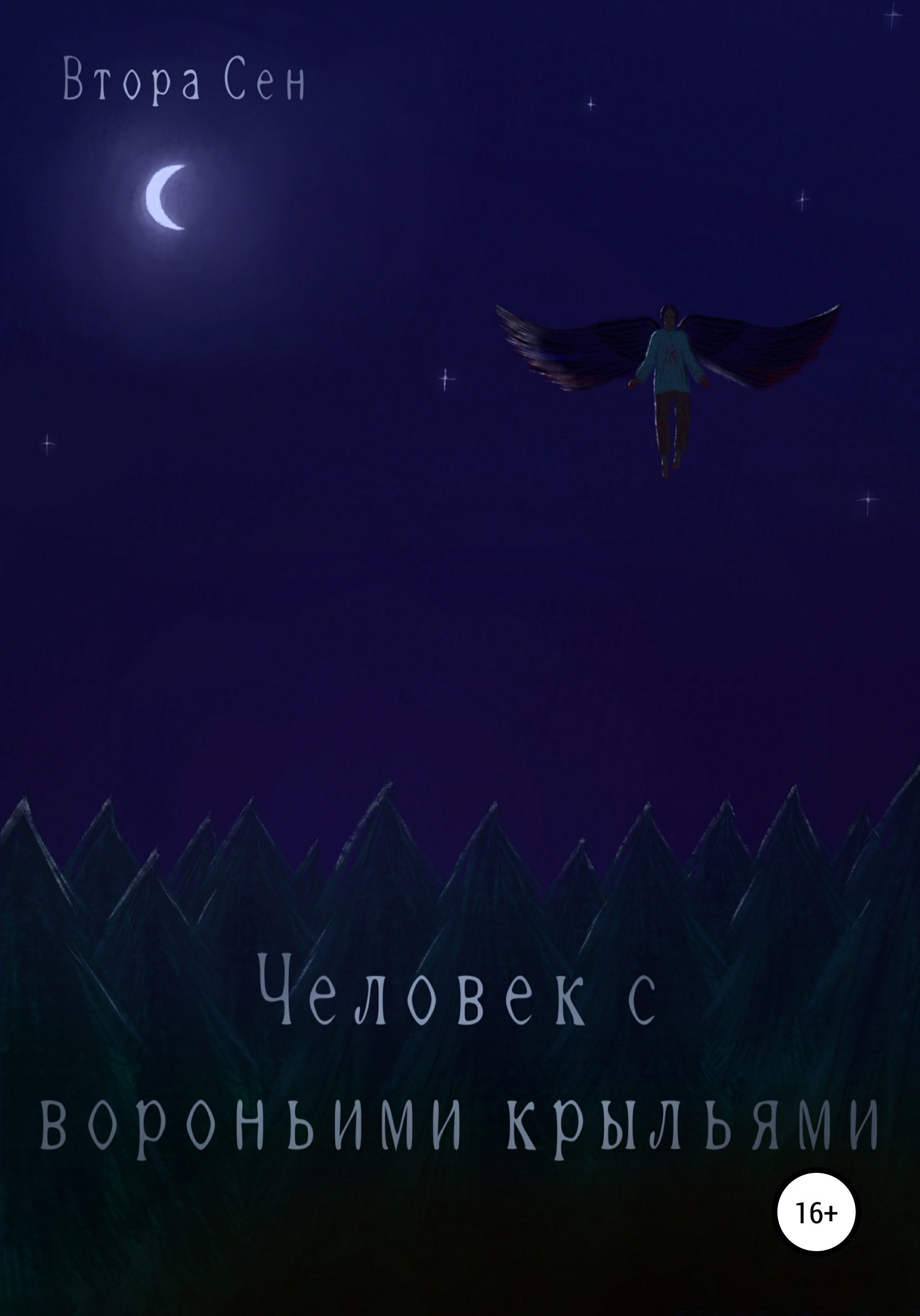 Обложка книги «Человек с вороньими крыльями»