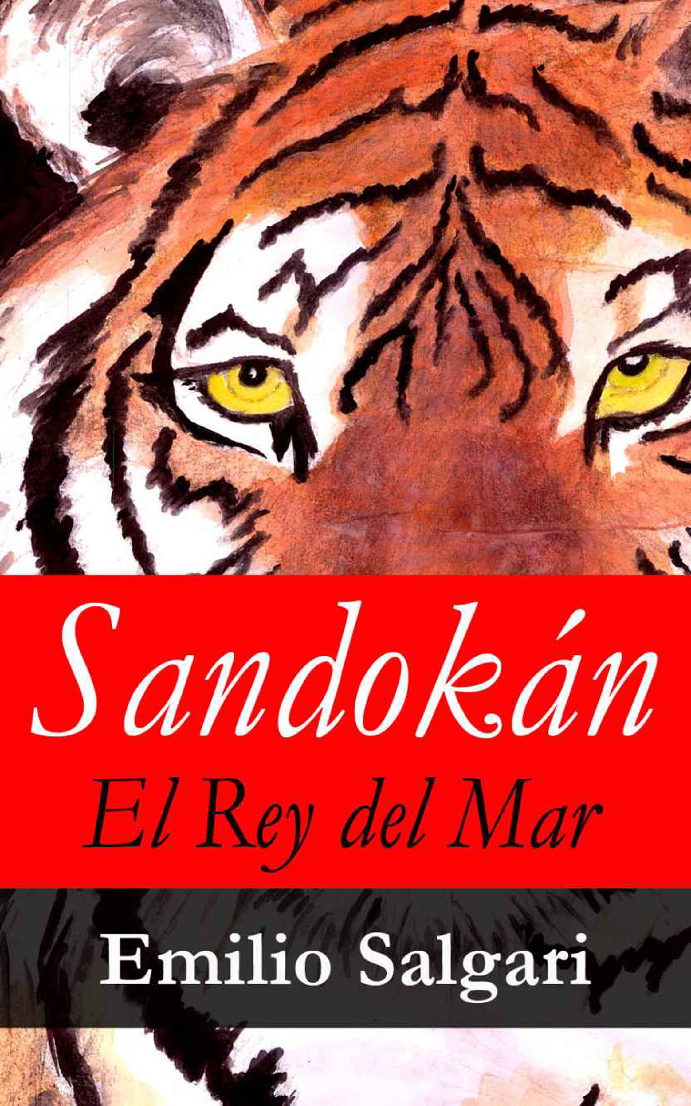Обложка книги «Sandokán, El Rey del Mar»