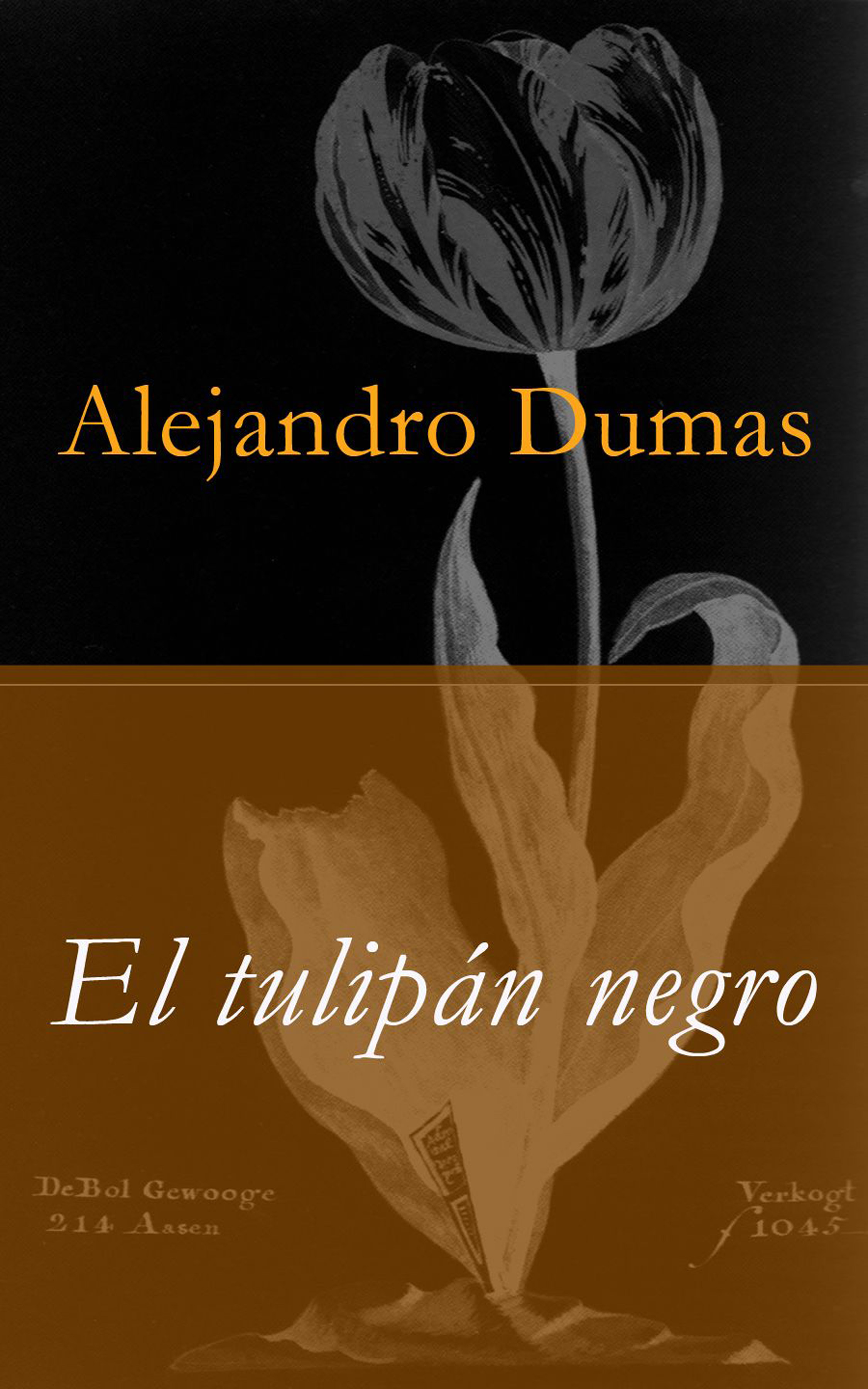 Обложка книги «El tulipán negro»