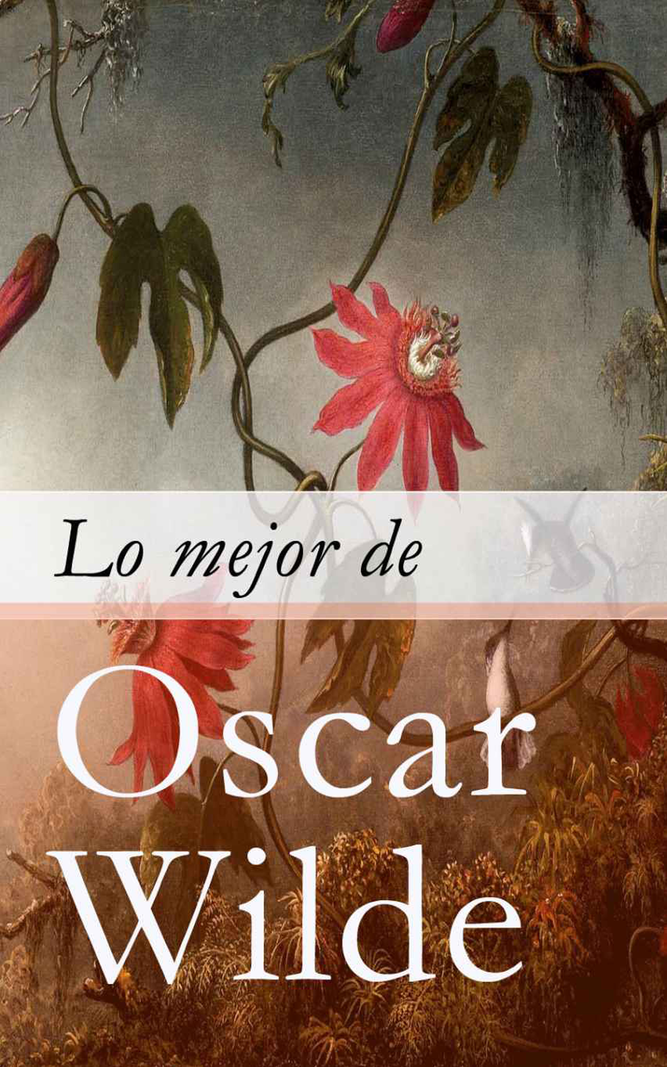 Обложка книги «Lo mejor de Oscar Wilde»