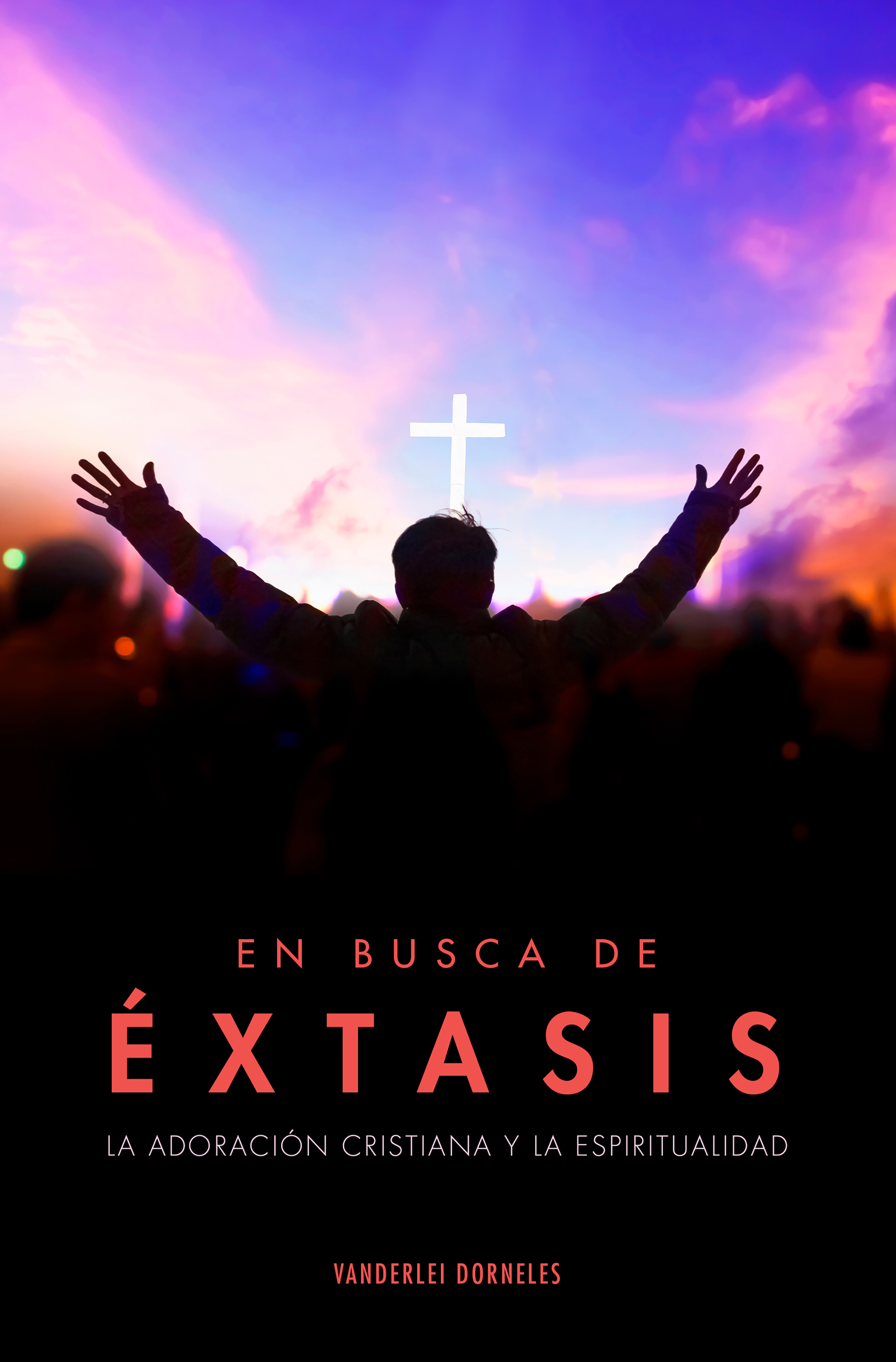 Обложка книги «En busca de éxtasis»