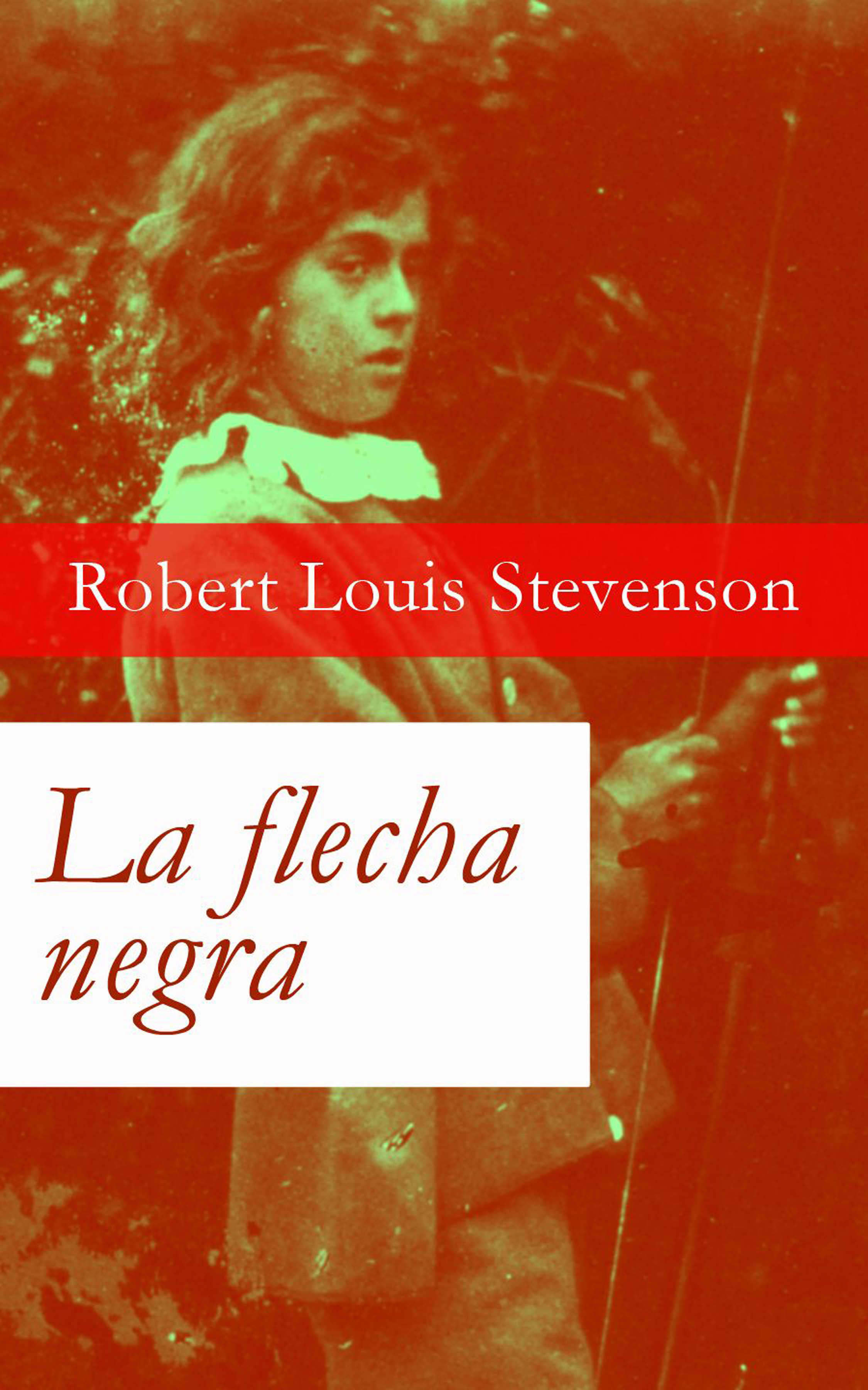 Обложка книги «La flecha negra»