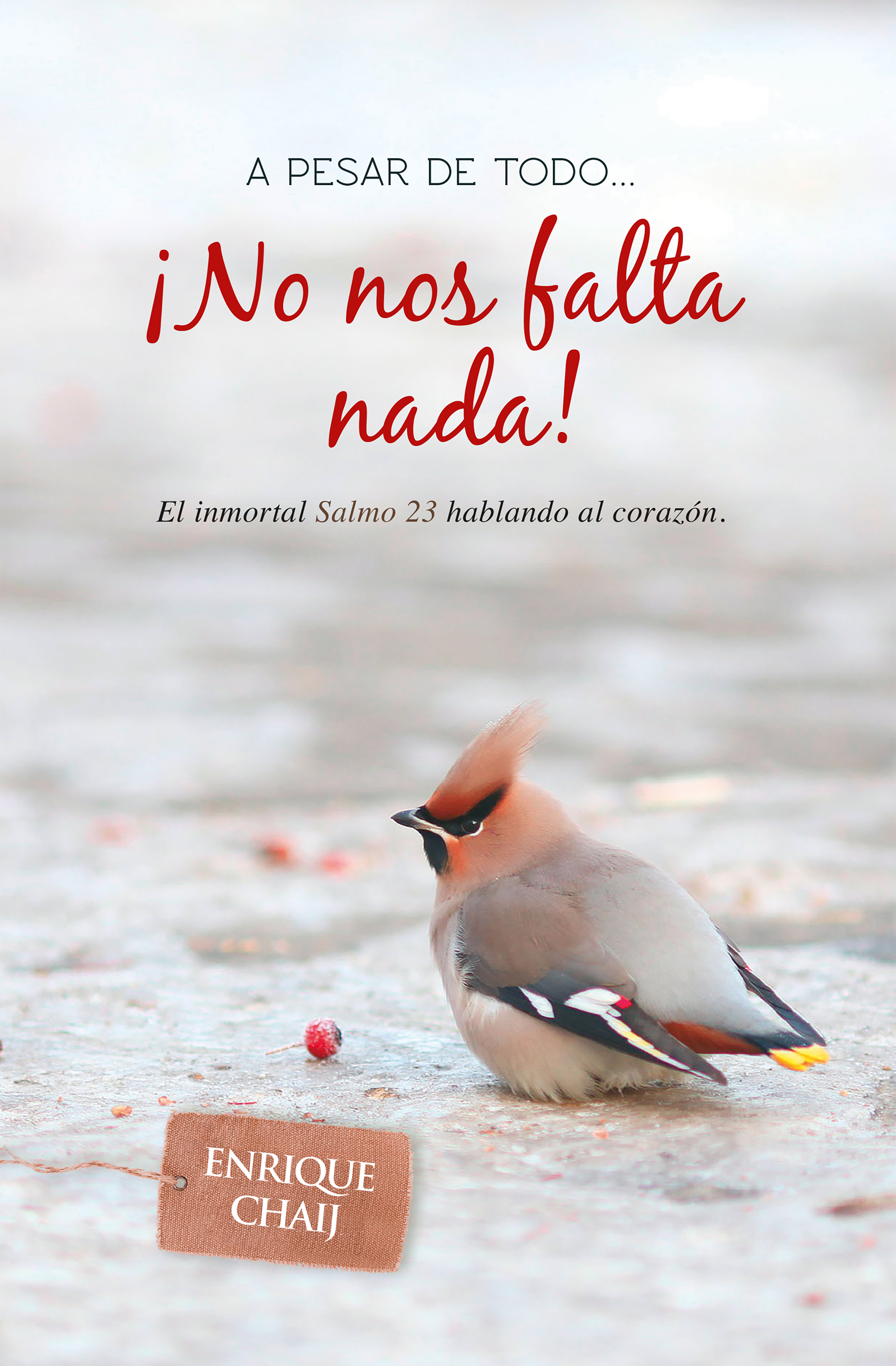 Обложка книги «A pesar de todo... ¡No nos falta nada!»