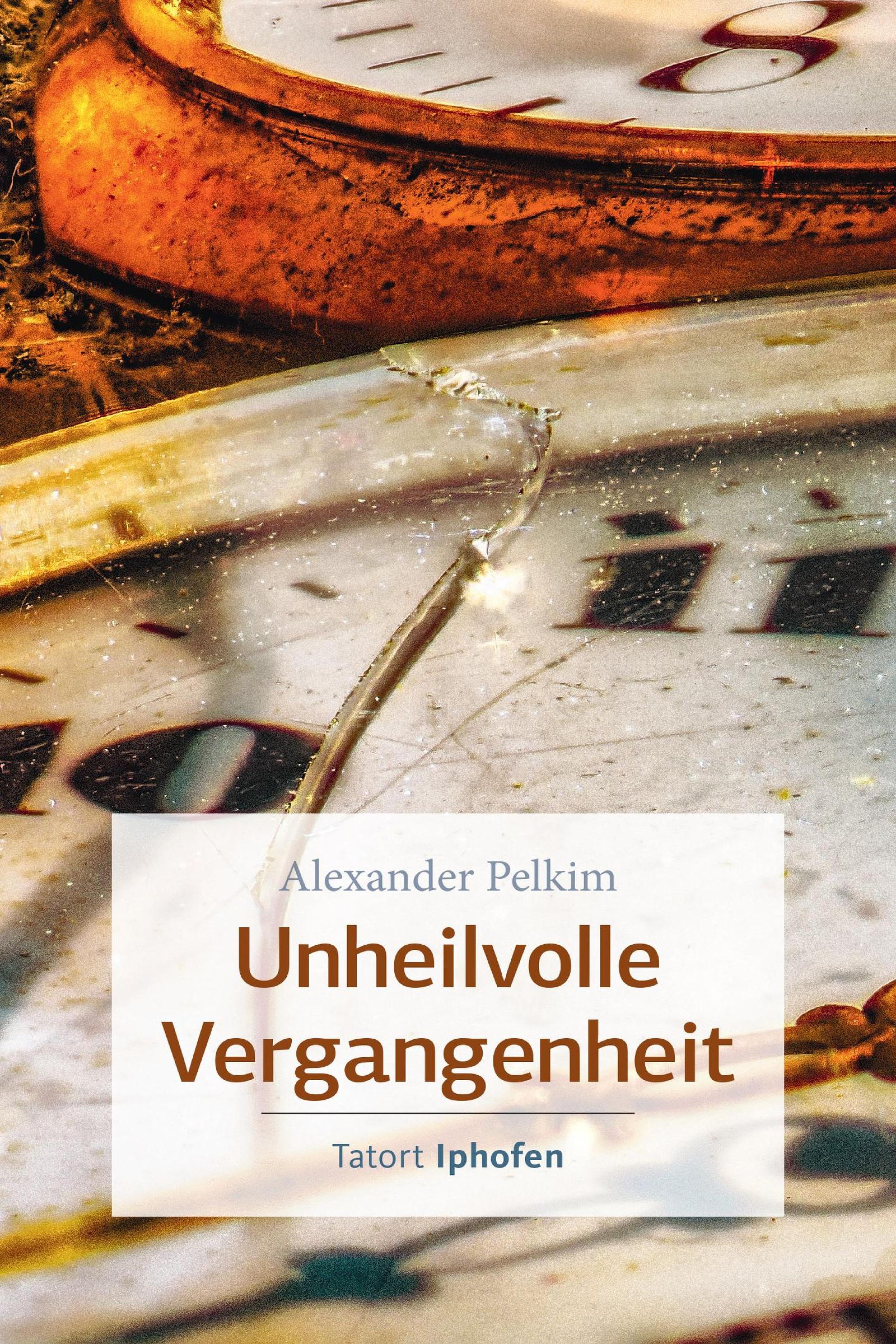 Обложка книги «Unheilvolle Vergangenheit»