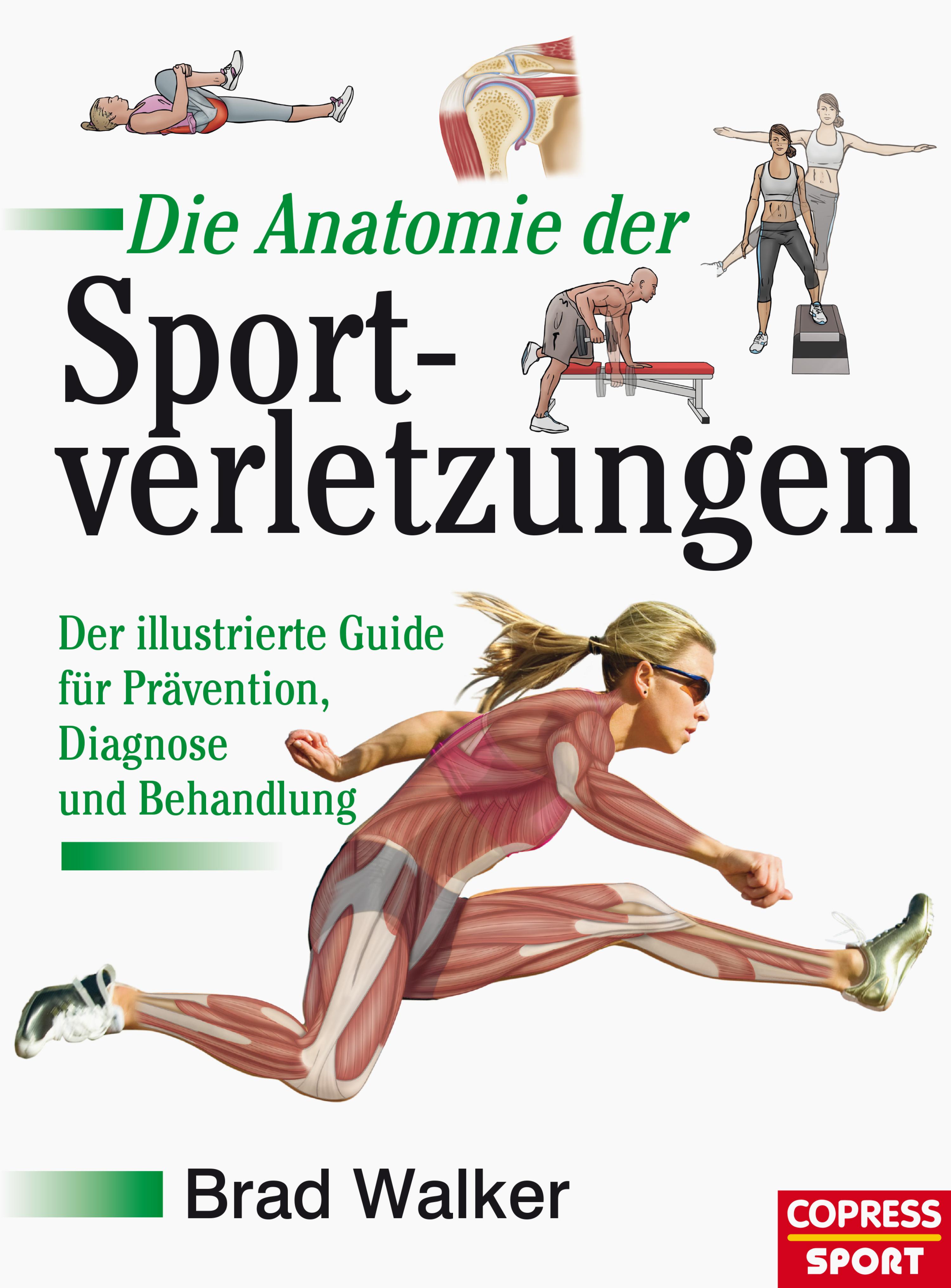 Обложка книги «Die Anatomie der Sportverletzungen»