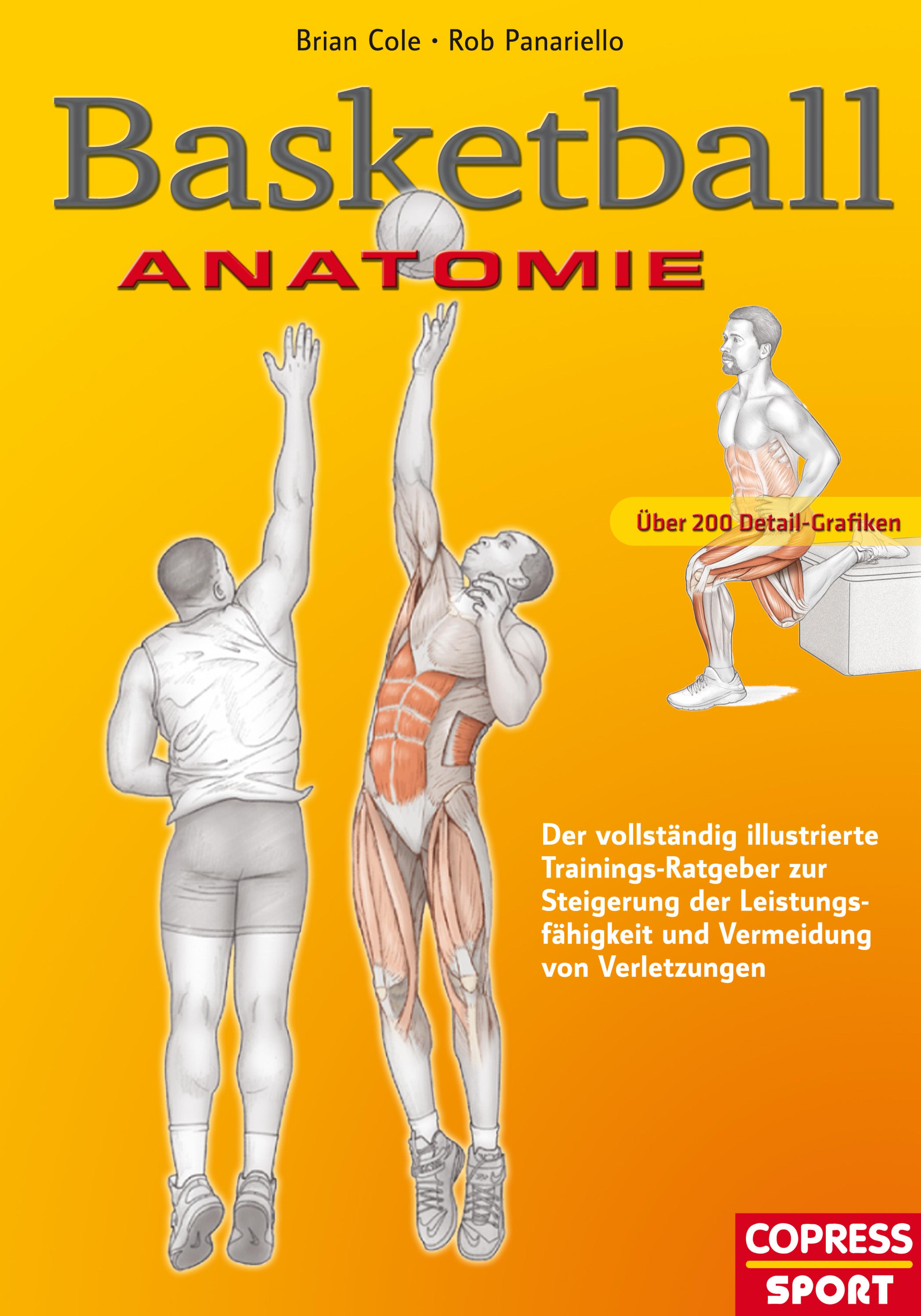 Обложка книги «Basketball Anatomie»
