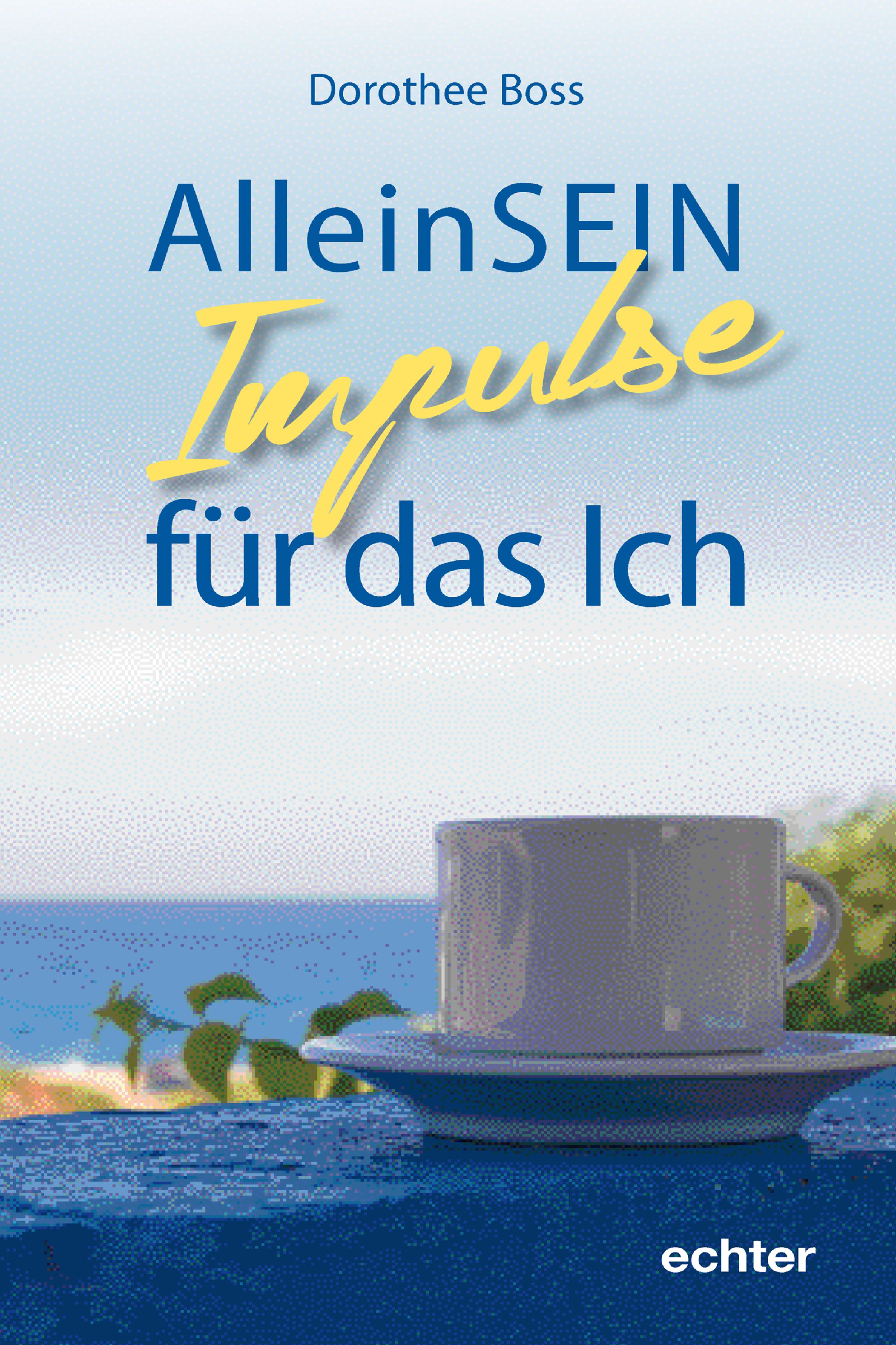 Обложка книги «AlleinSein:»