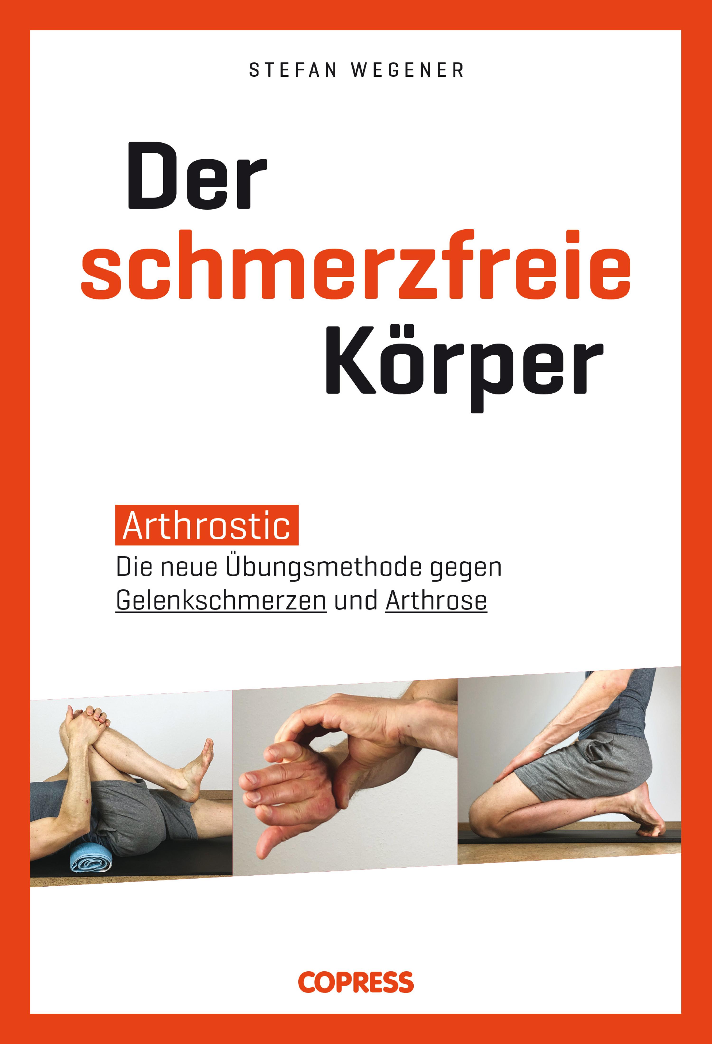Обложка книги «Der schmerzfreie Körper»