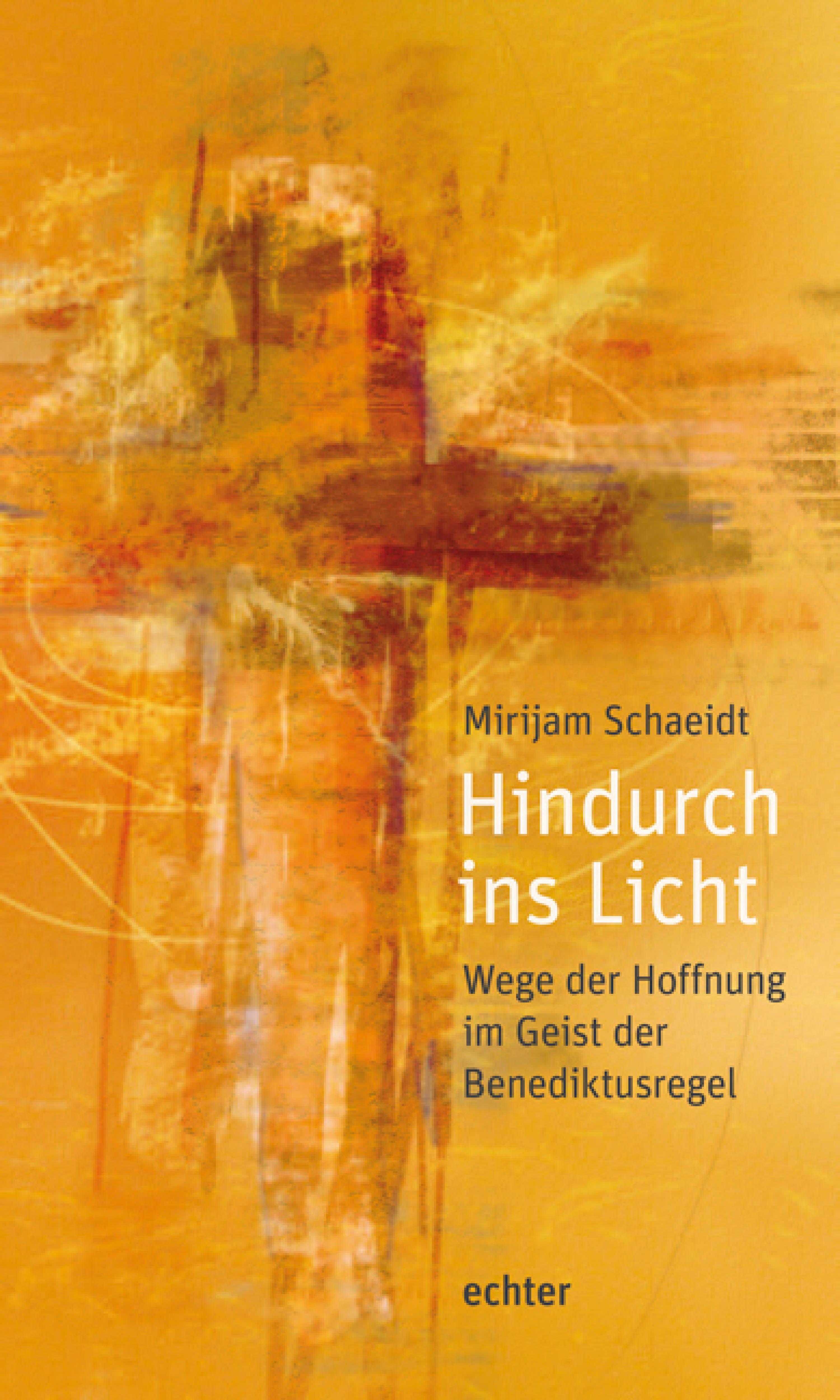 Обложка книги «Hindurch ins Licht»