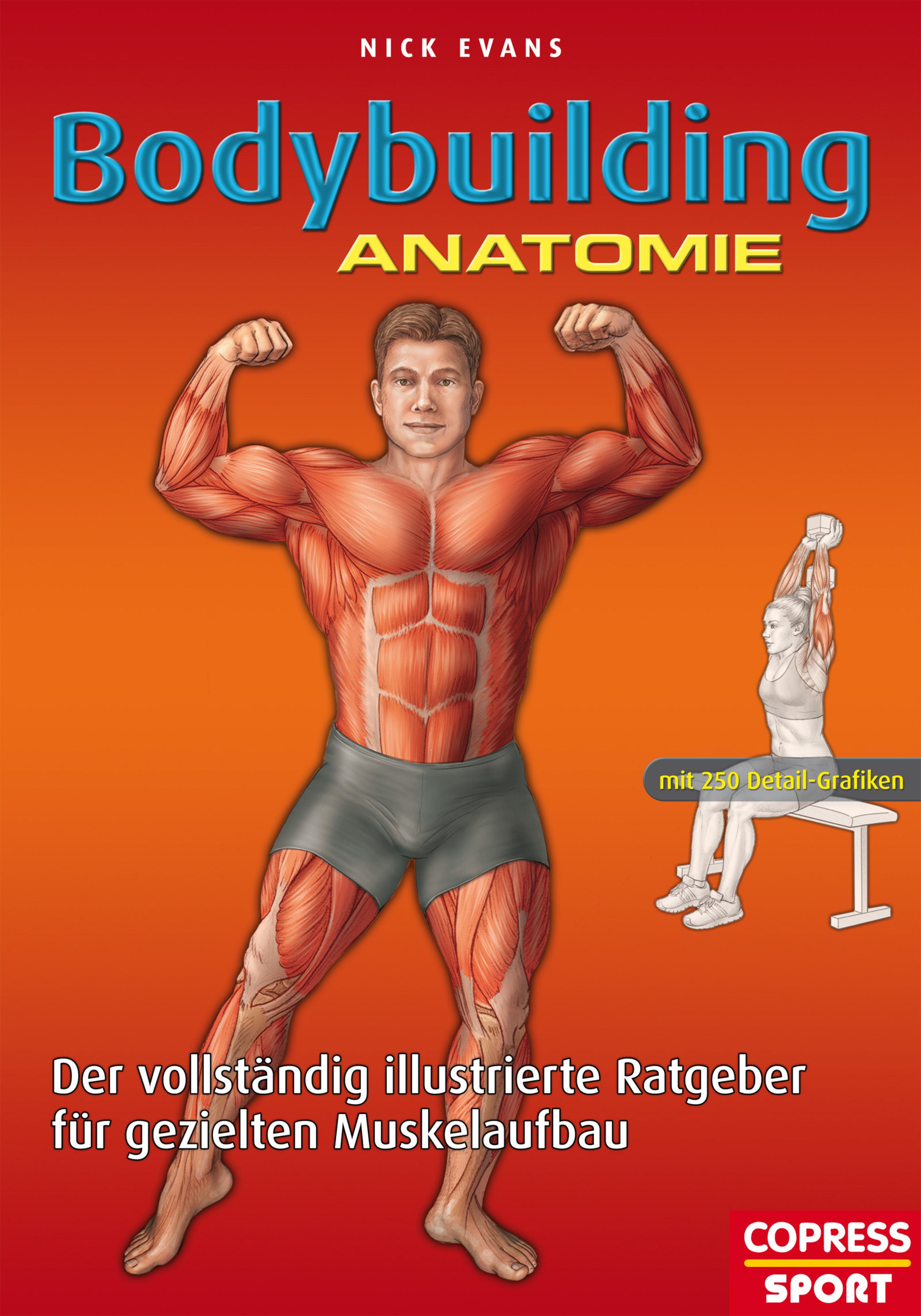 Обложка книги «Bodybuilding Anatomie»