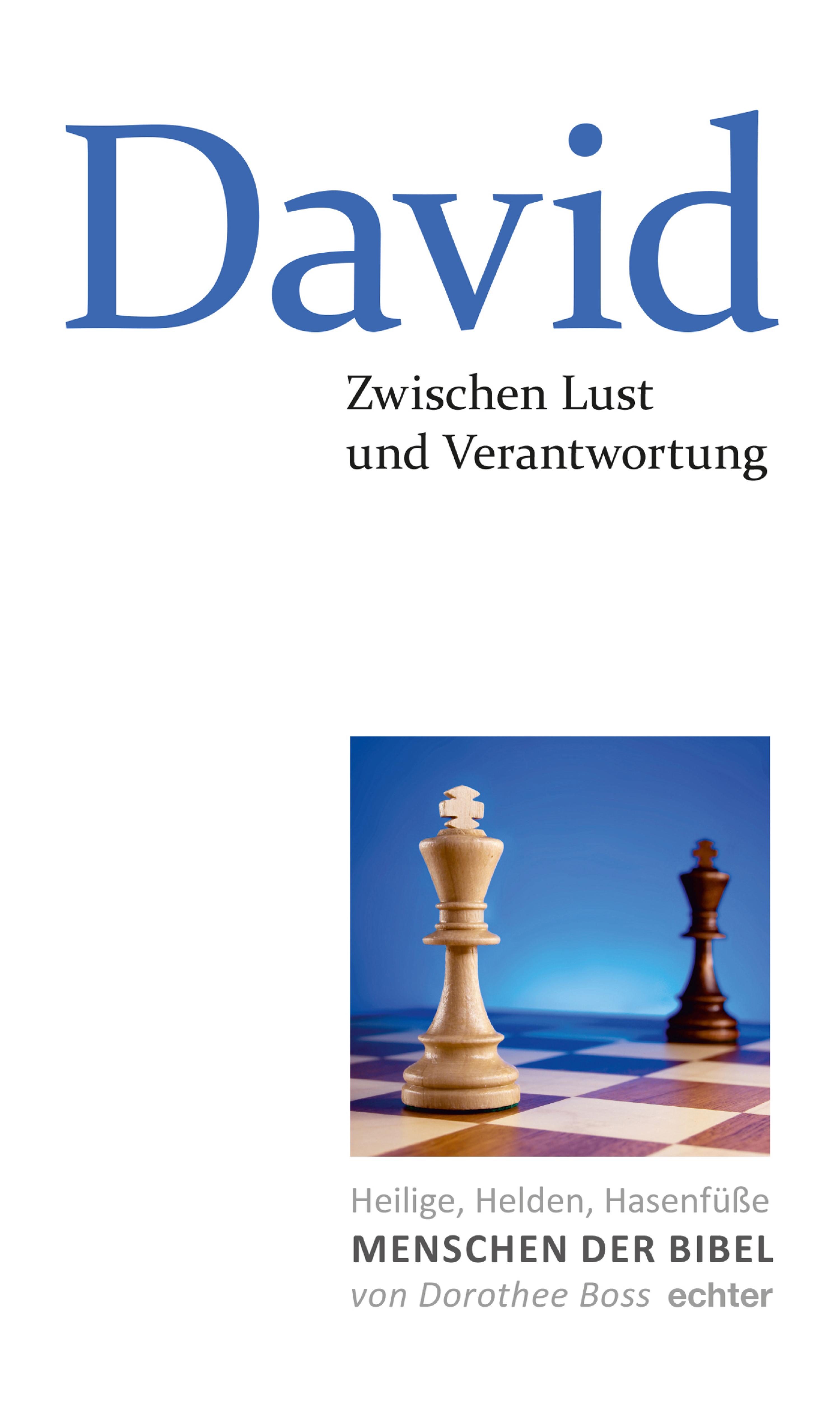 Обложка книги «Zwischen Lust und Verantwortung: David»