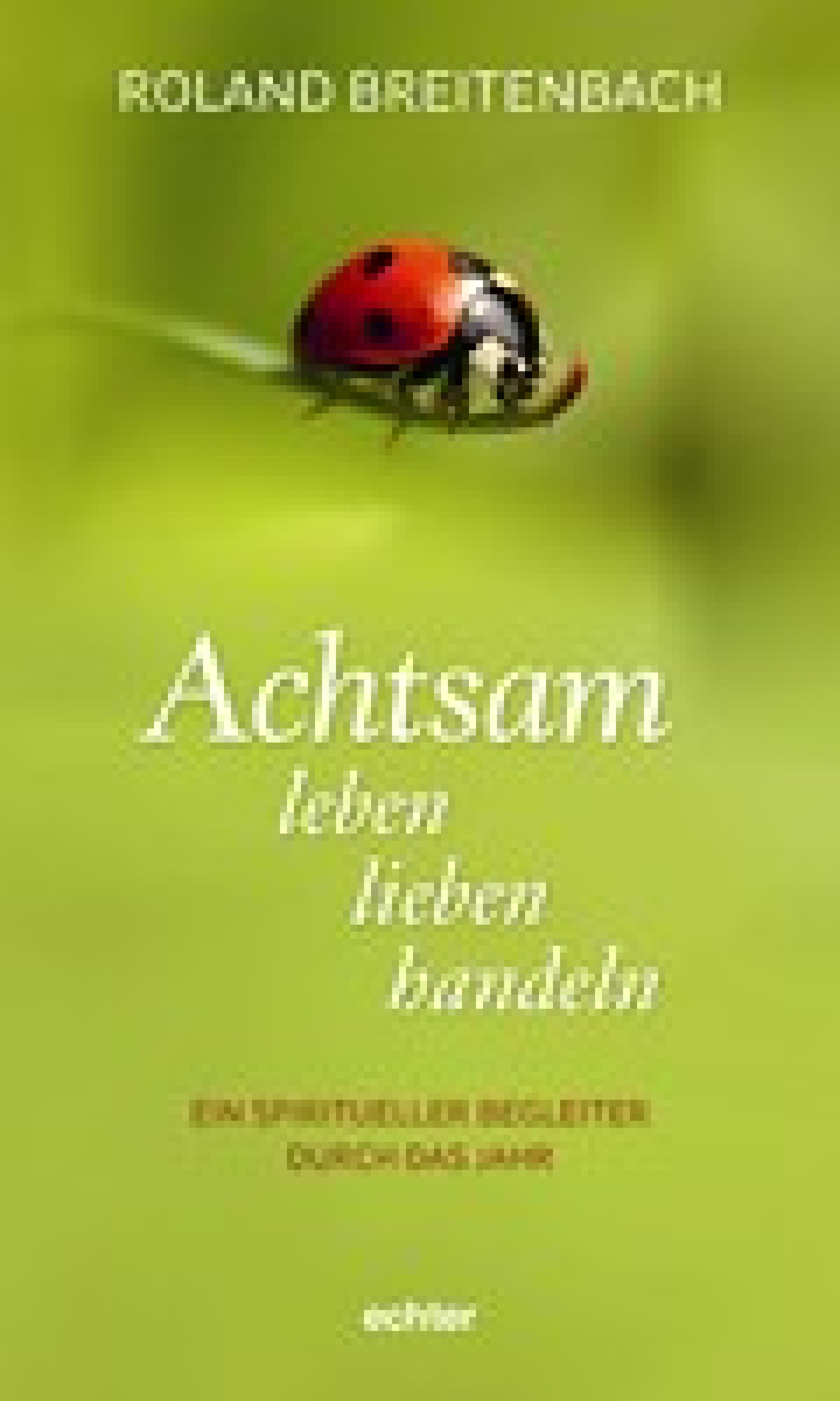 Обложка книги «Achtsam leben, lieben, handeln»