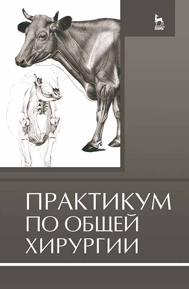 Обложка книги «Практикум по общей хирургии»