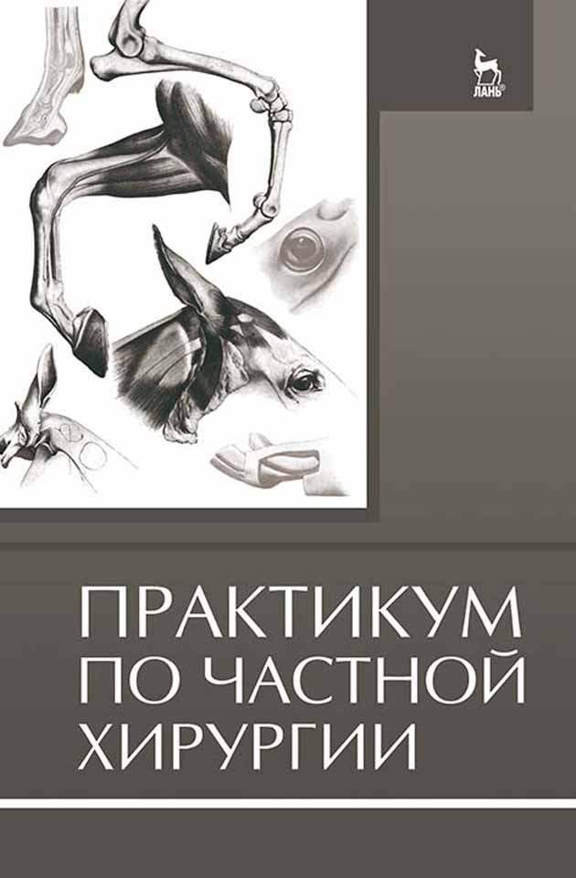 Обложка книги «Практикум по частной хирургии»