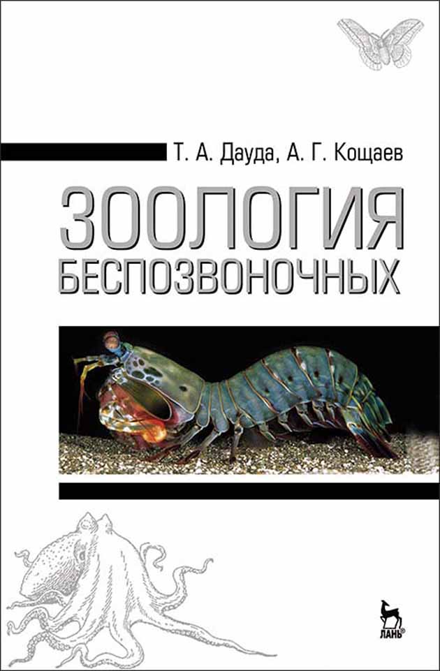 Обложка книги «Зоология беспозвоночных»
