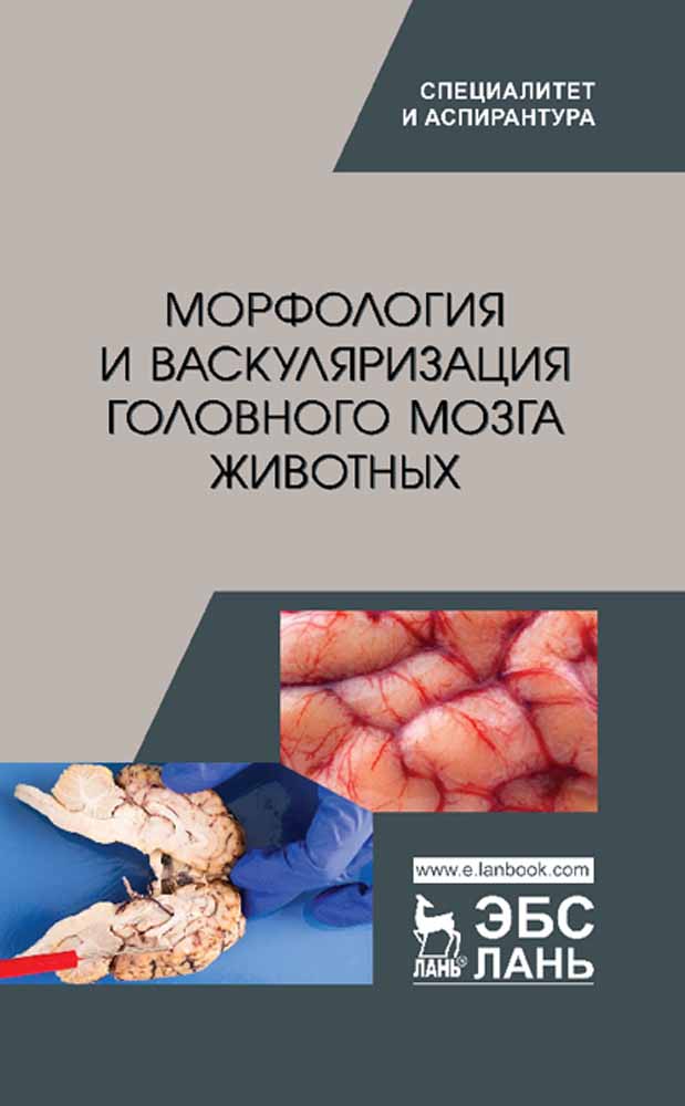 Обложка книги «Морфология и васкуляризация головного мозга животных»